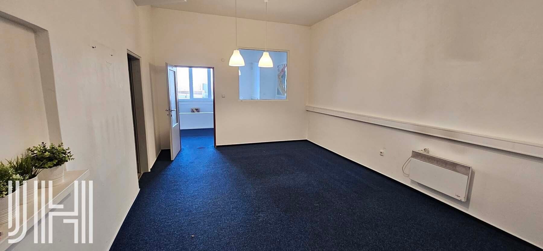 Pronájem komerčního prostoru 375 m² - foto 4