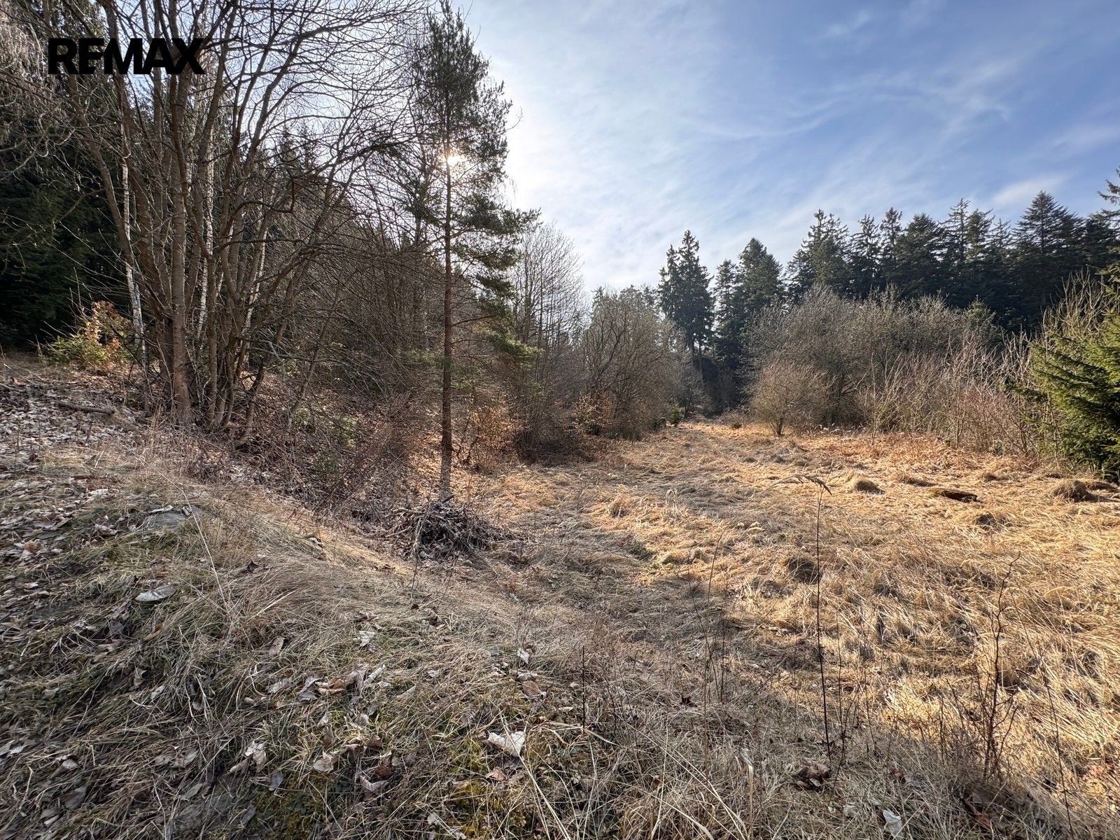 Prodej pozemku 3780 m² - foto 20