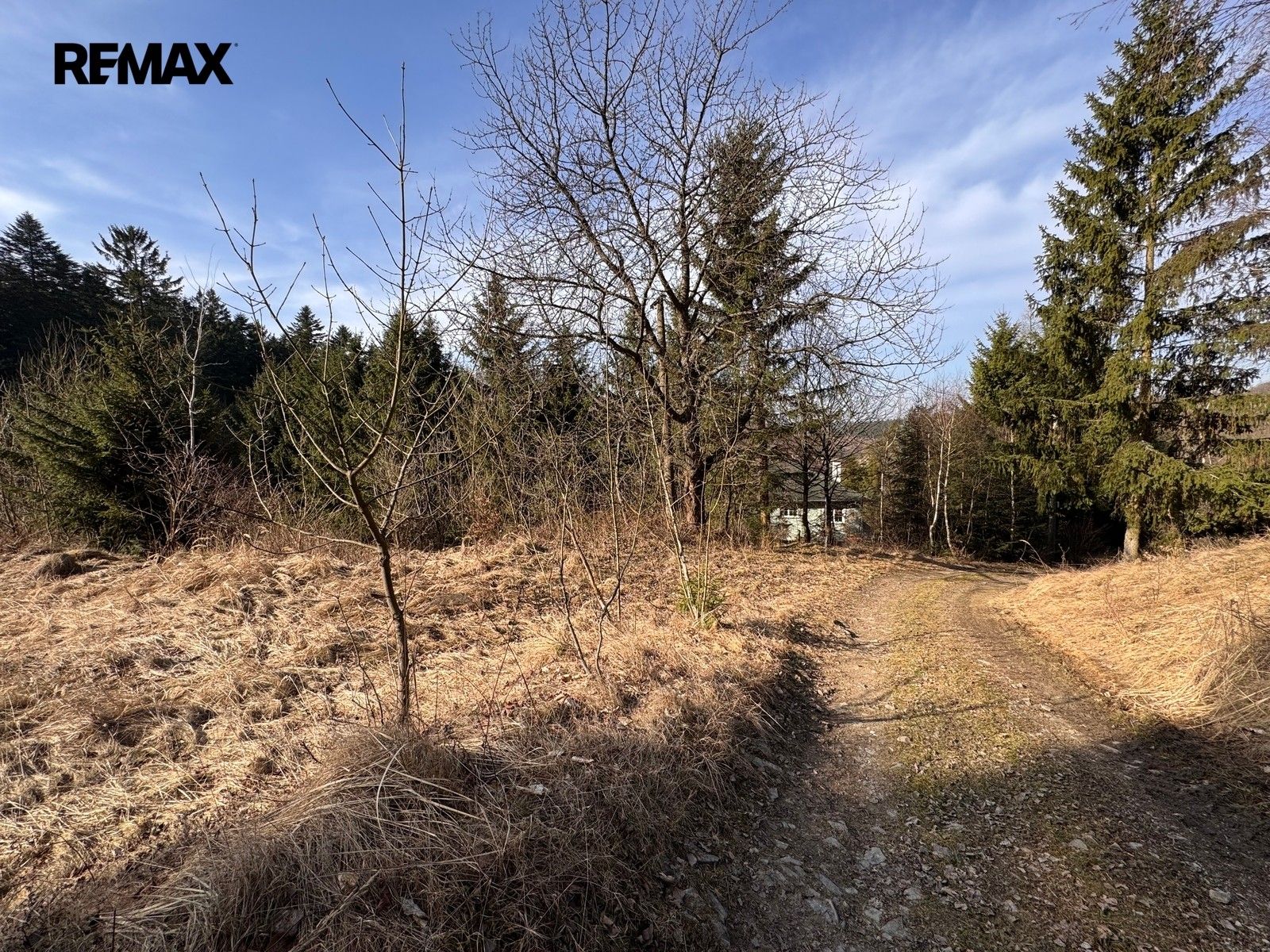 Prodej pozemku 3780 m² - foto 19