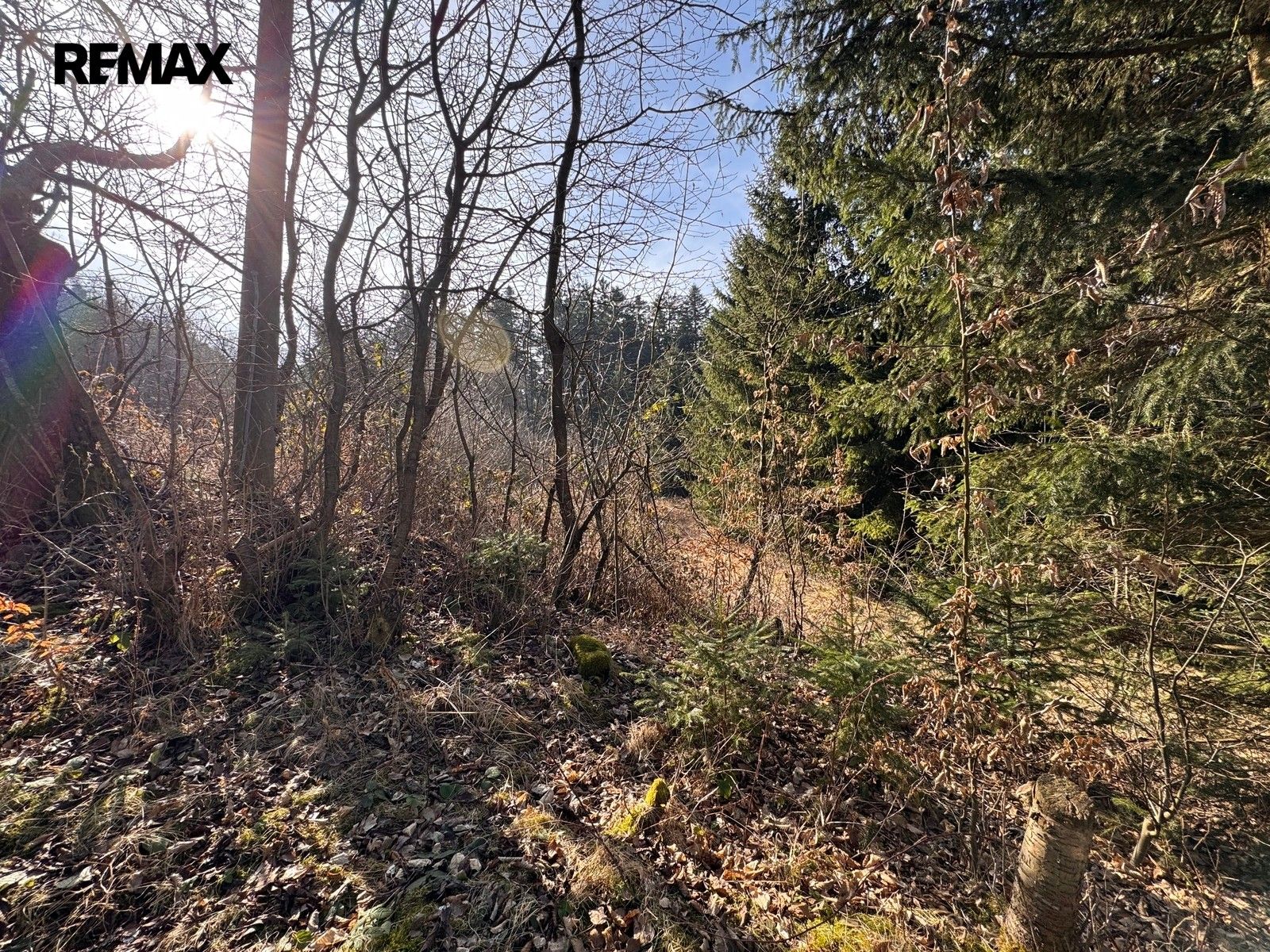 Prodej pozemku 3780 m² - foto 21