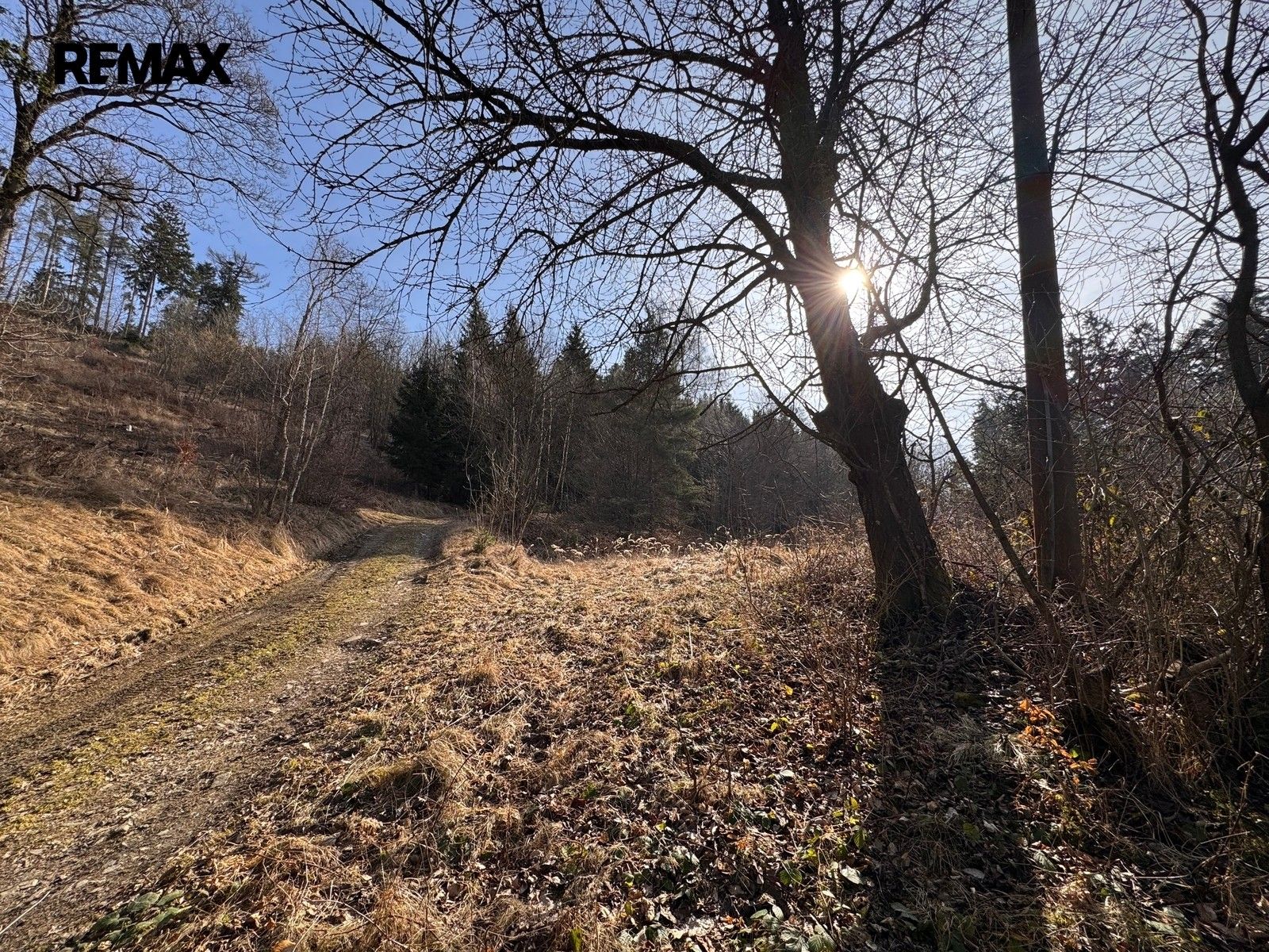 Prodej pozemku 3780 m² - foto 22