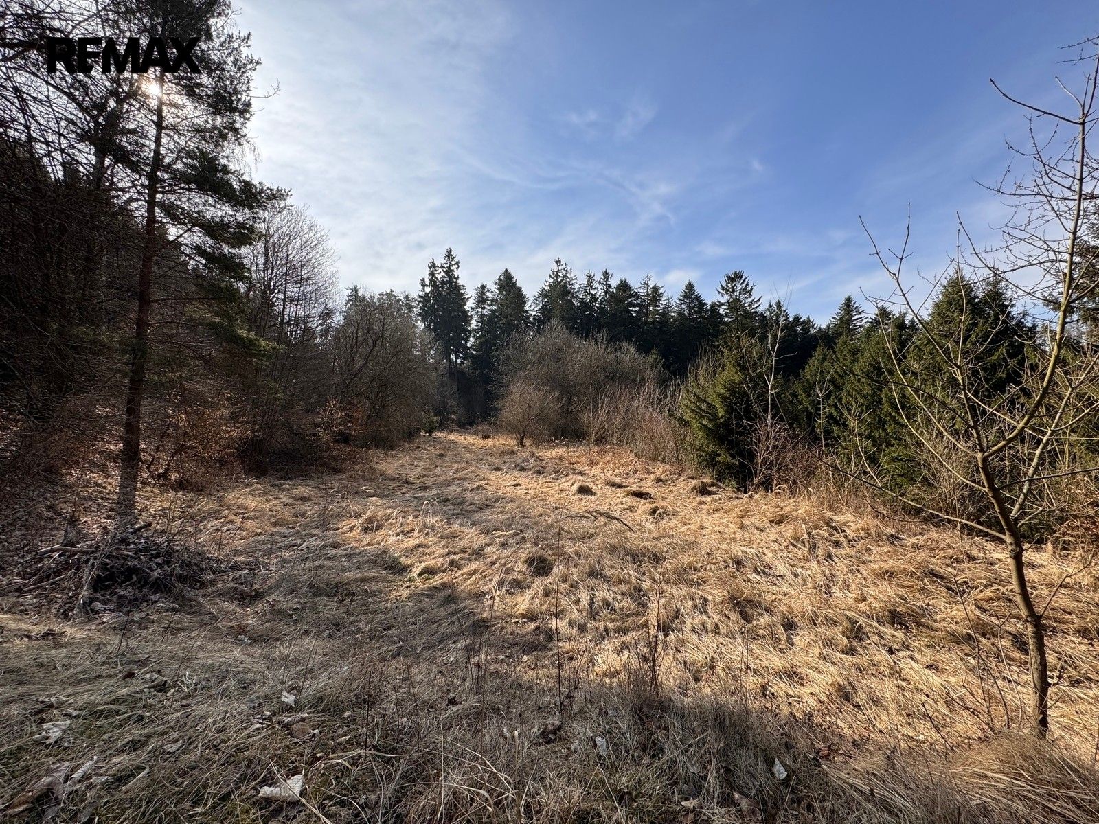 Prodej pozemku 3780 m² - foto 18