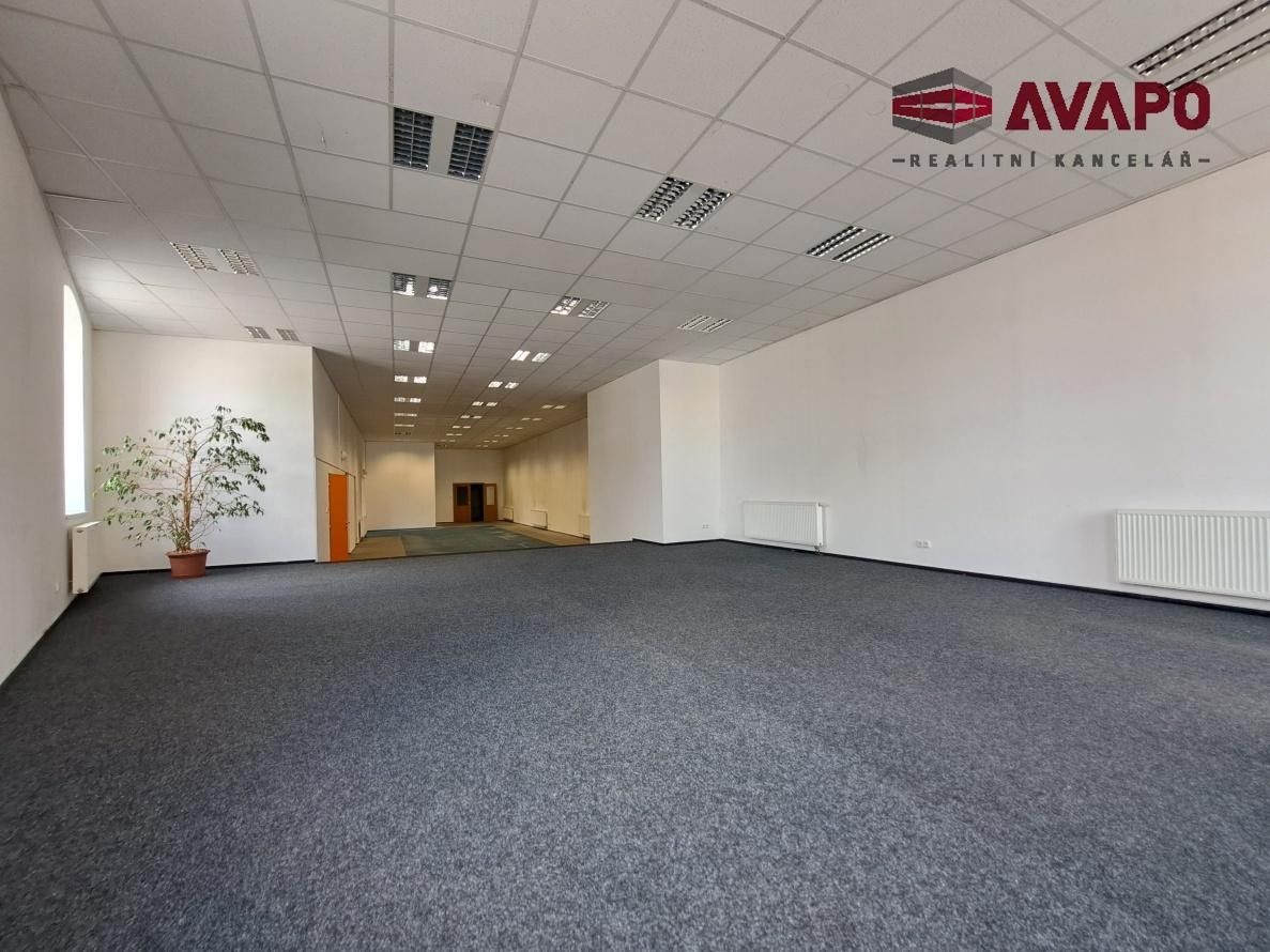 Pronájem komerčního prostoru 305 m² - foto 4