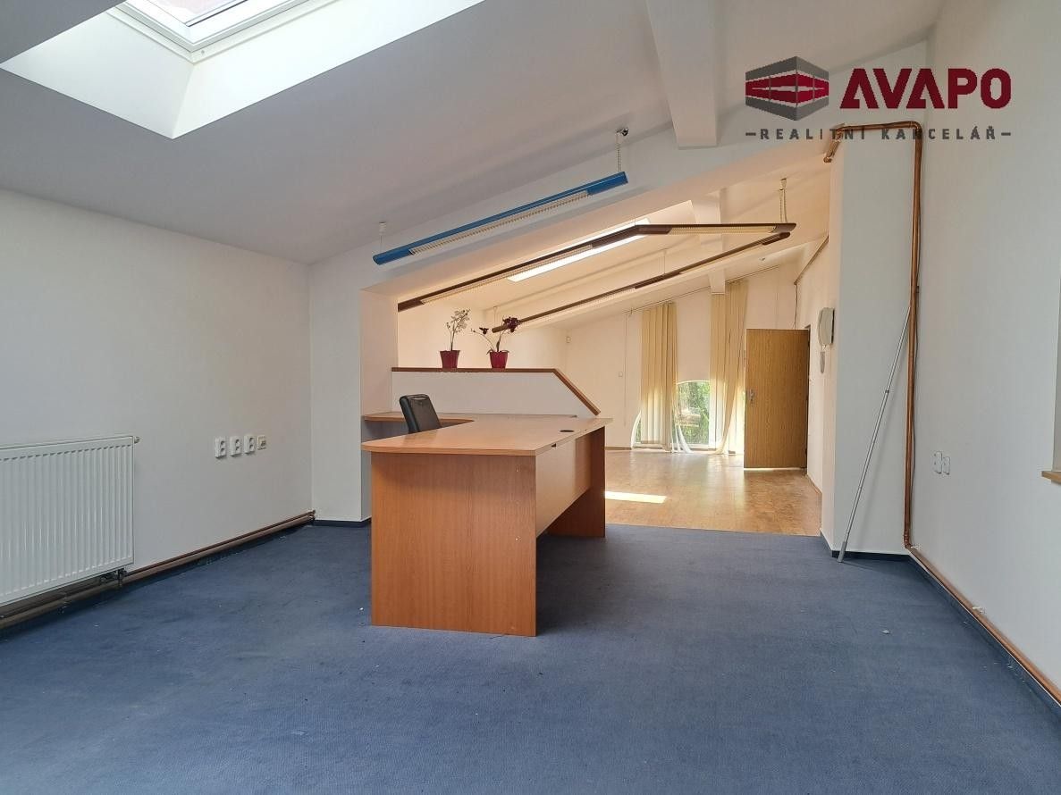 Pronájem komerčního prostoru 305 m² - foto 8