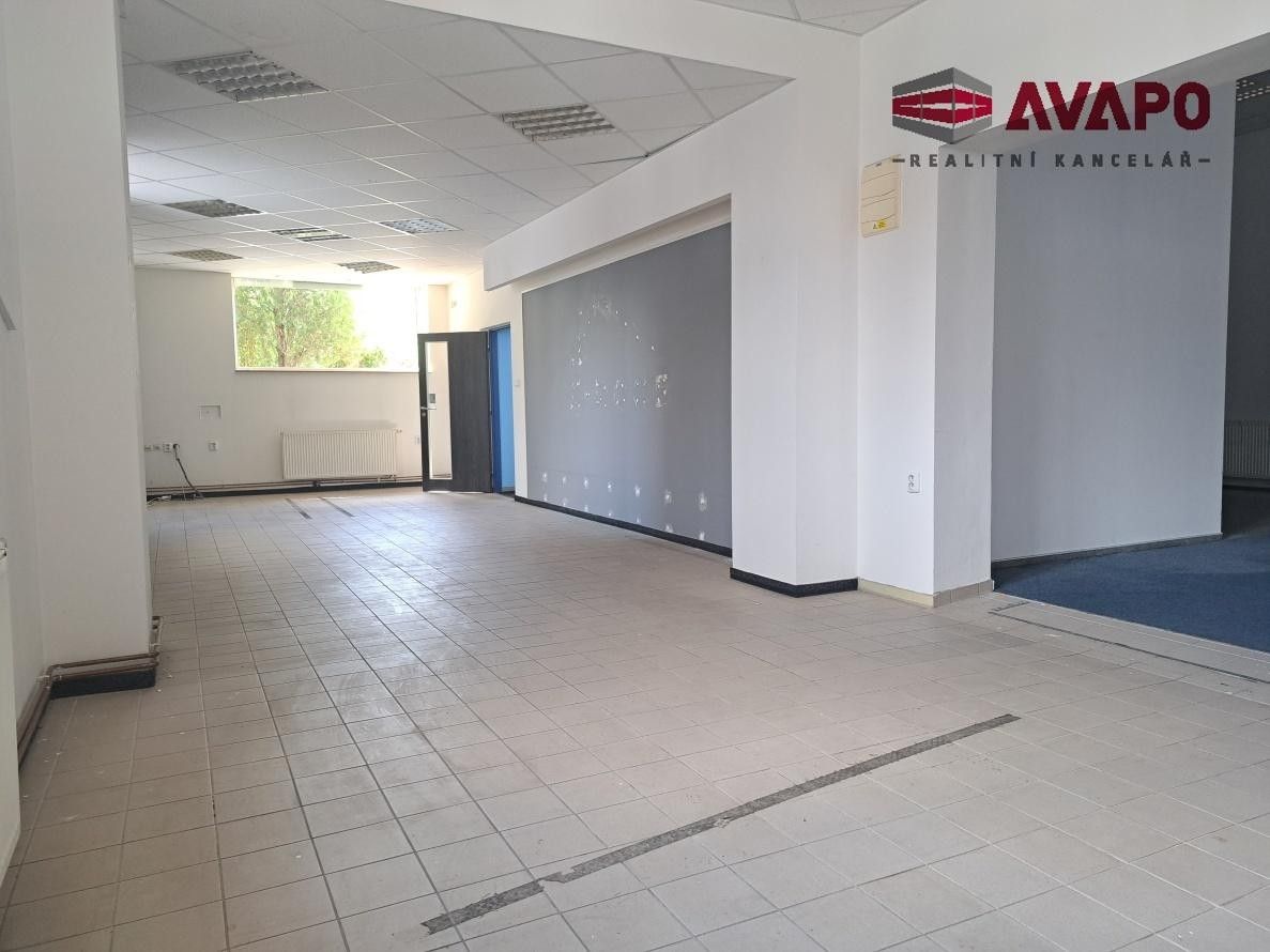 Pronájem komerčního prostoru 305 m² - foto 6