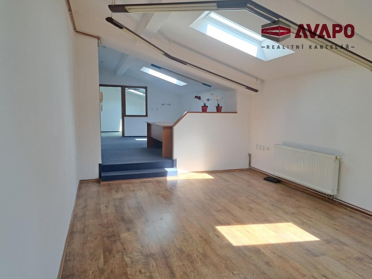 Pronájem komerčního prostoru 305 m² - foto 9