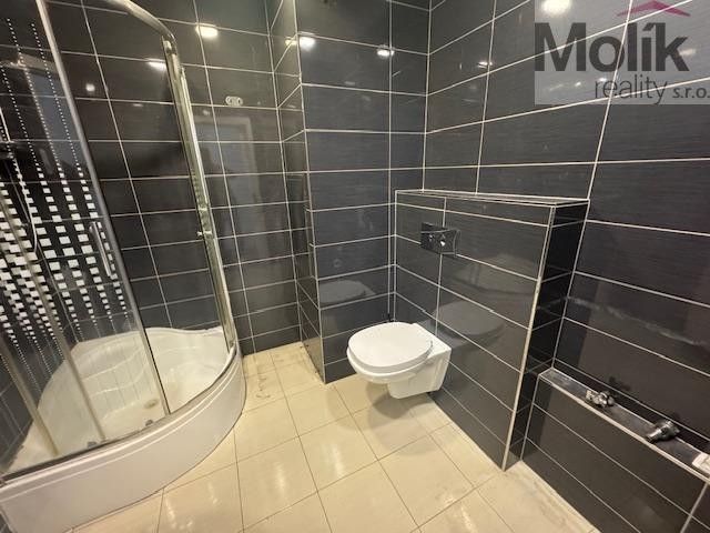 Pronájem bytu 2+kk 40 m² - foto 10