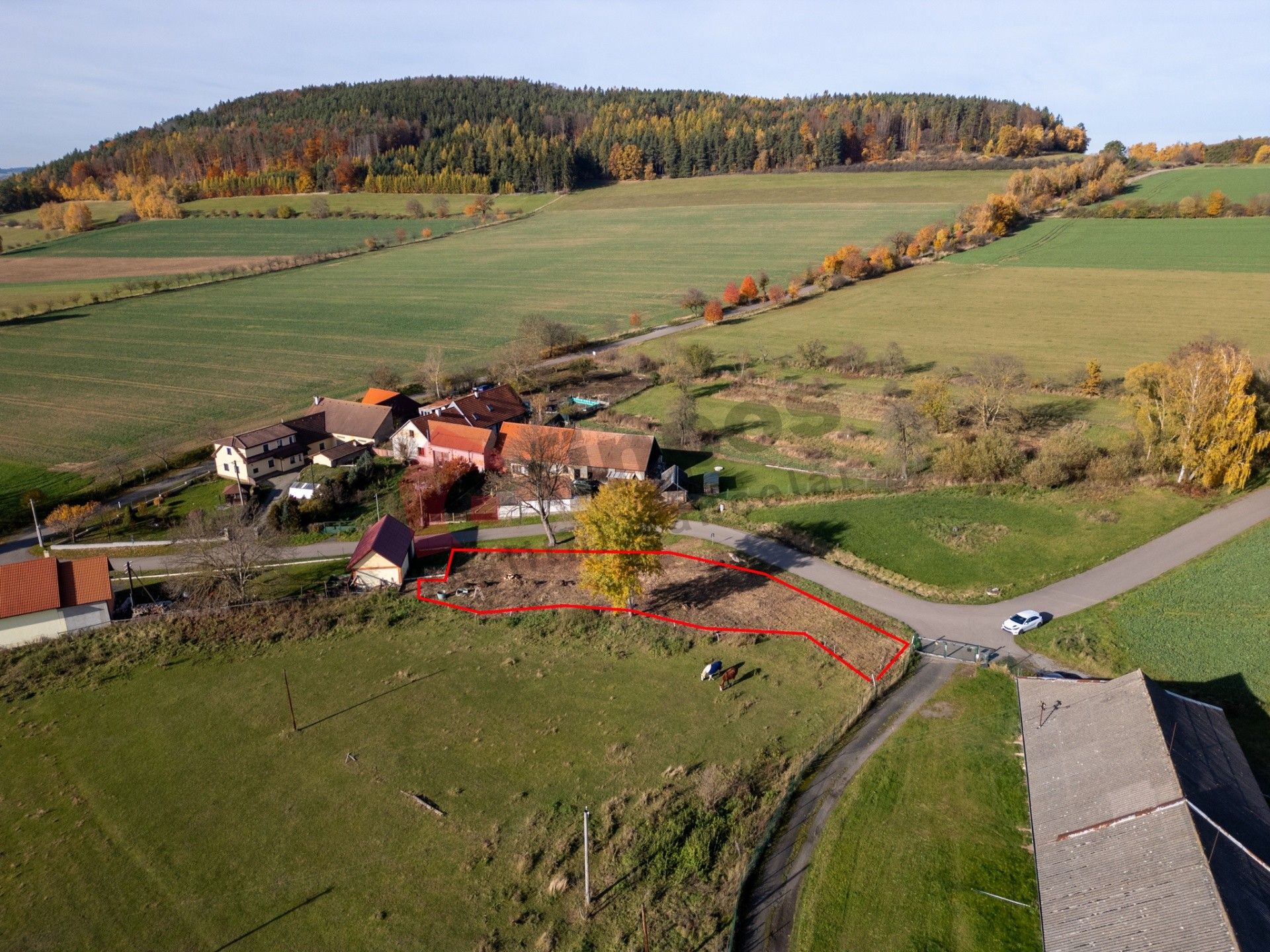 Prodej nemovitosti 78 m² - foto 12