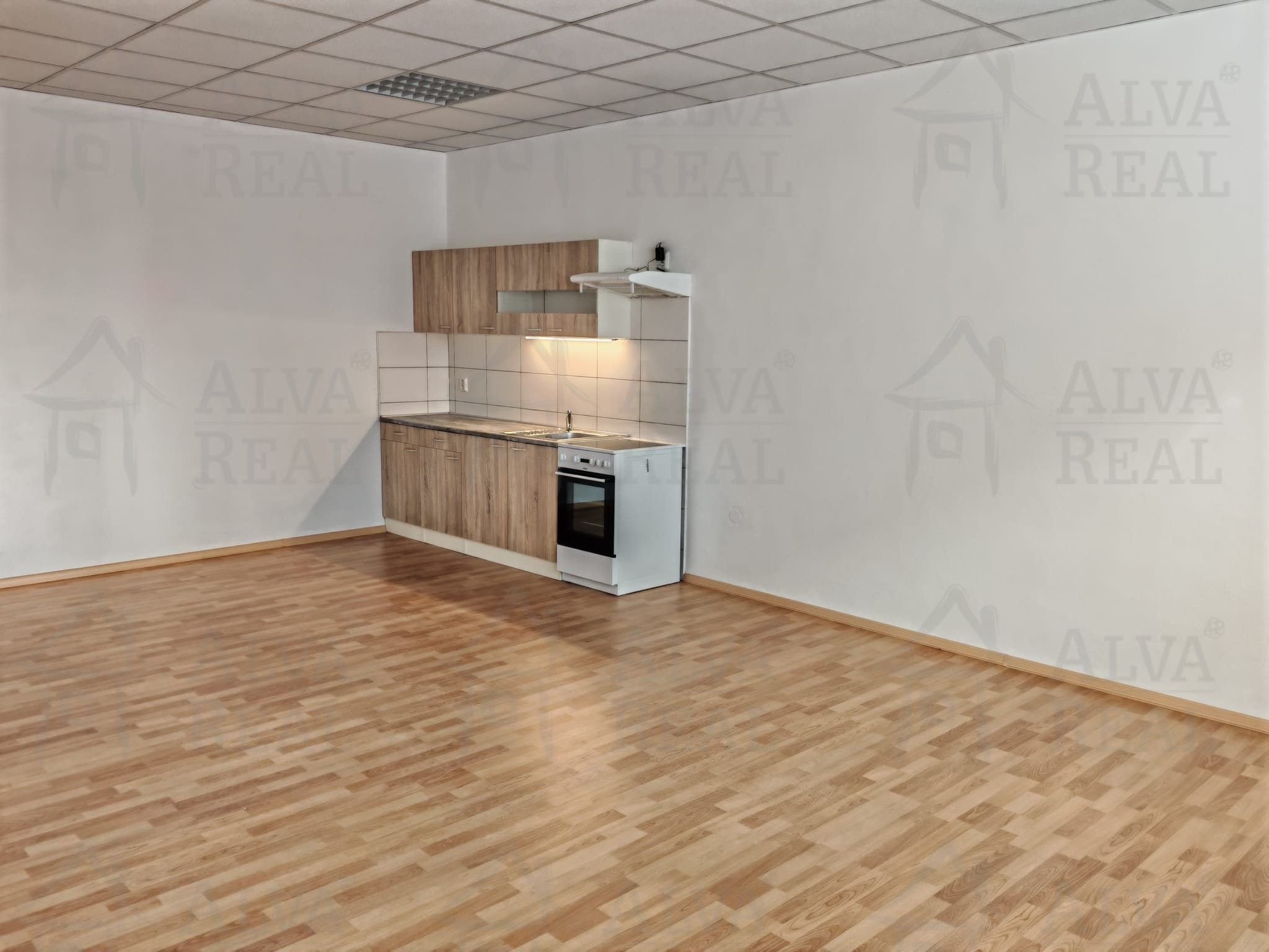 Pronájem bytu 1+kk 45 m² - foto 4