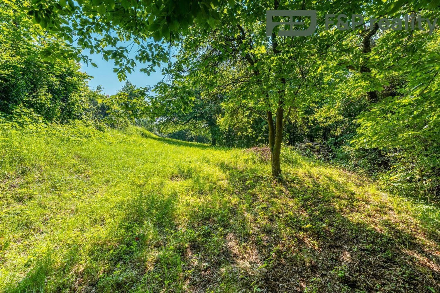 Prodej pozemku 2181 m² - foto 6