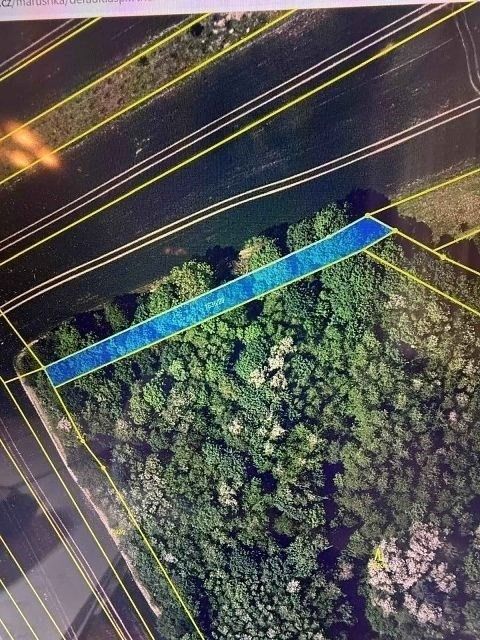 Prodej pozemku 910 m² - foto 1