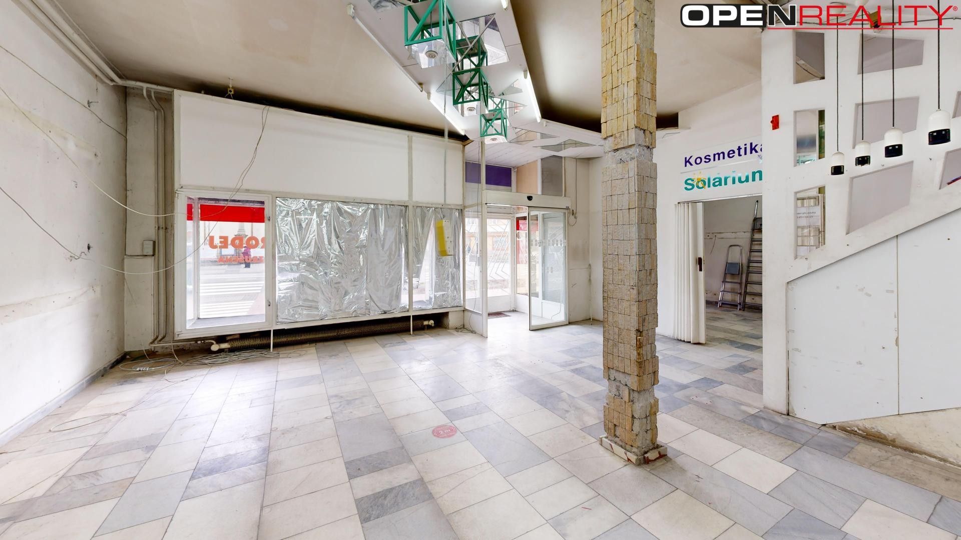 Prodej nemovitosti 420 m² - foto 6