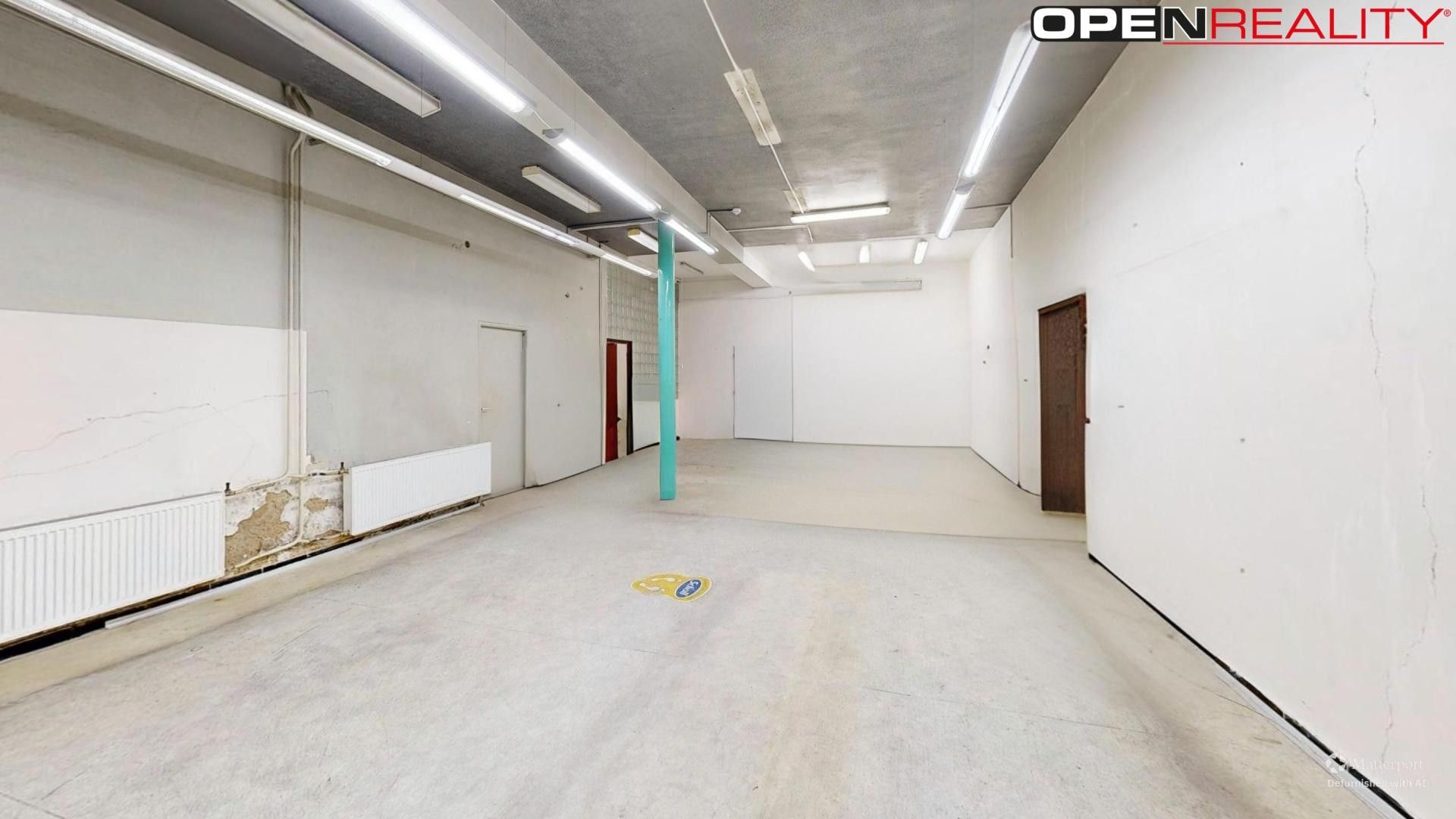 Prodej nemovitosti 420 m² - foto 7