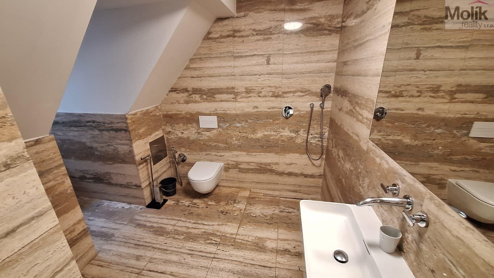 Prodej domu 425 m² - foto 22