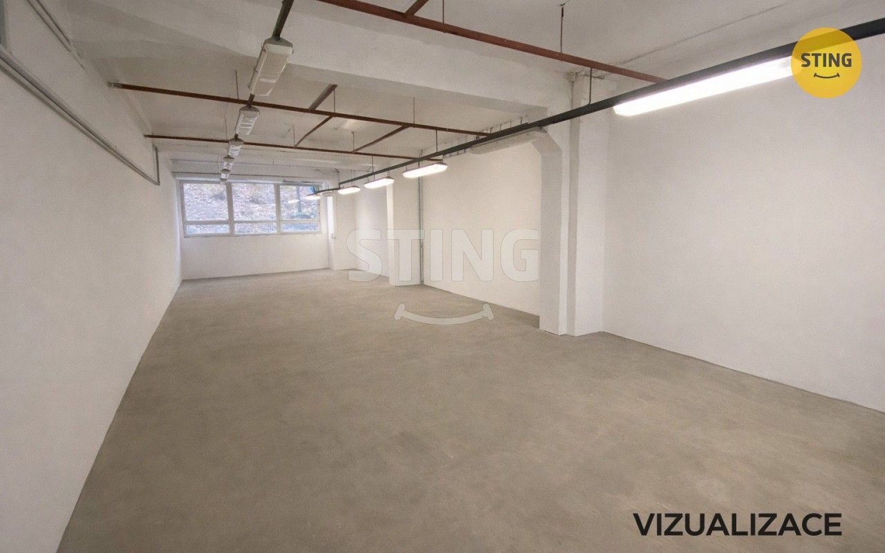 Pronájem komerčního prostoru 950 m² - foto 9