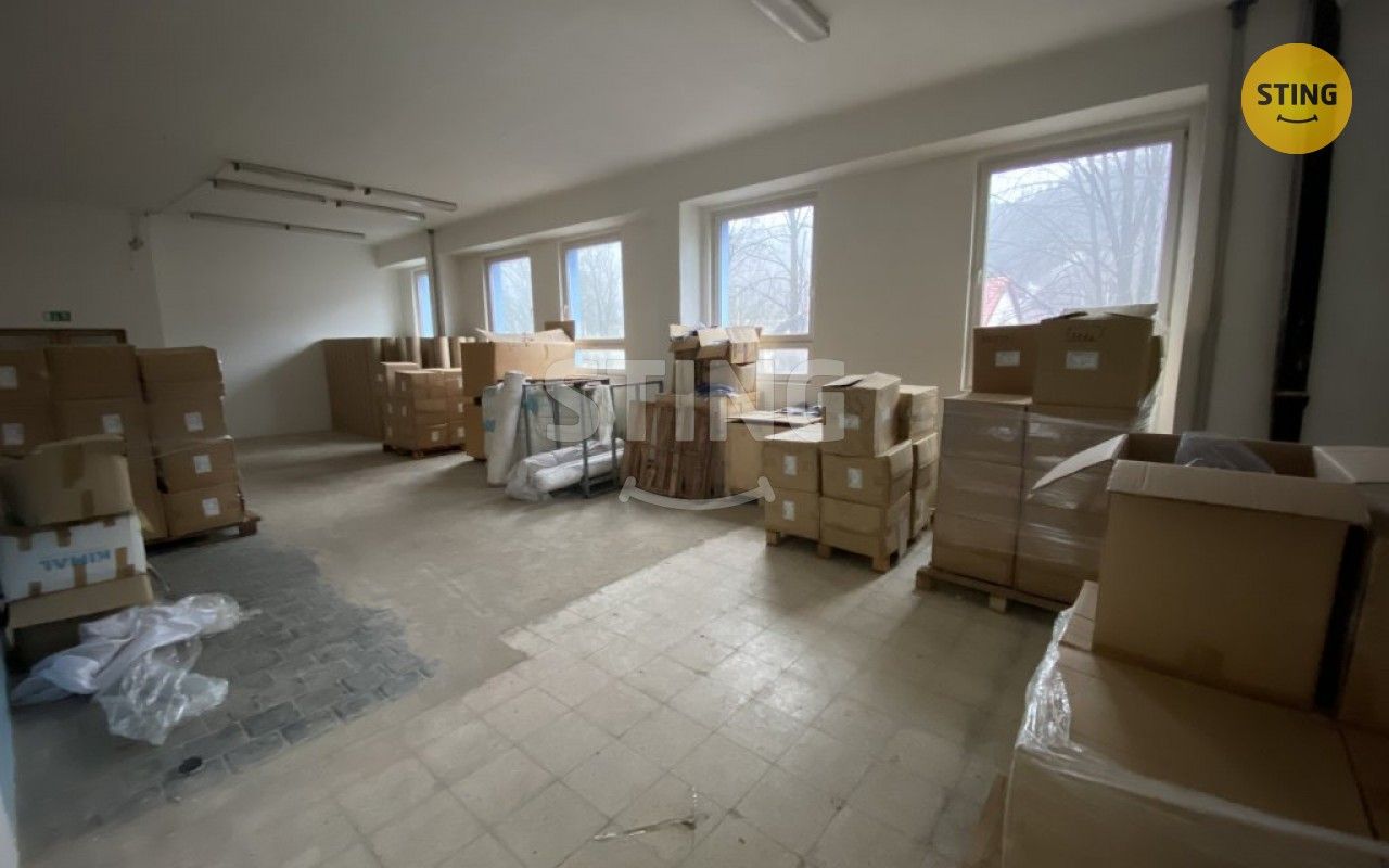 Pronájem komerčního prostoru 950 m² - foto 11
