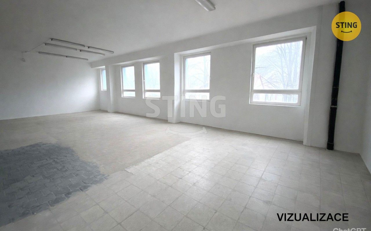 Pronájem komerčního prostoru 950 m² - foto 12