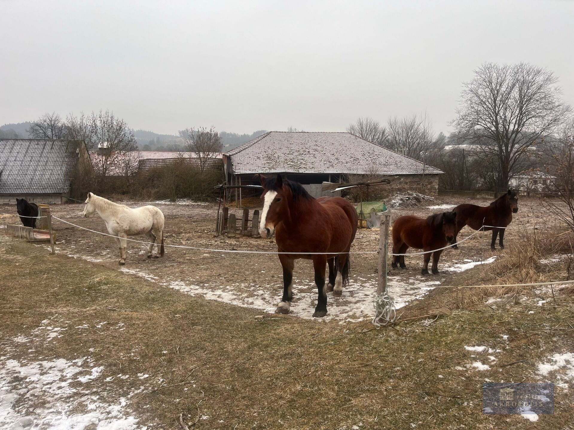 Prodej komerčního prostoru 2020000 m² - foto 7