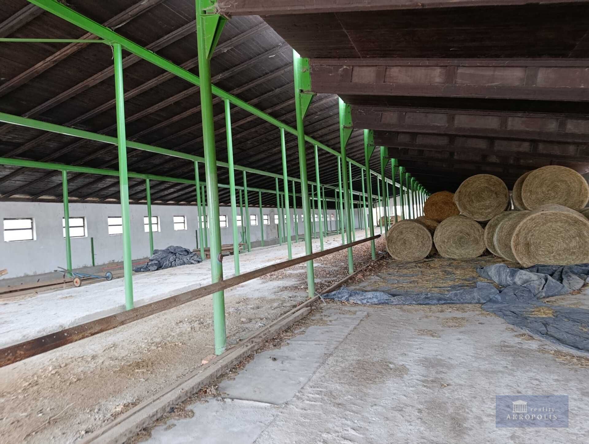 Prodej komerčního prostoru 2020000 m² - foto 8
