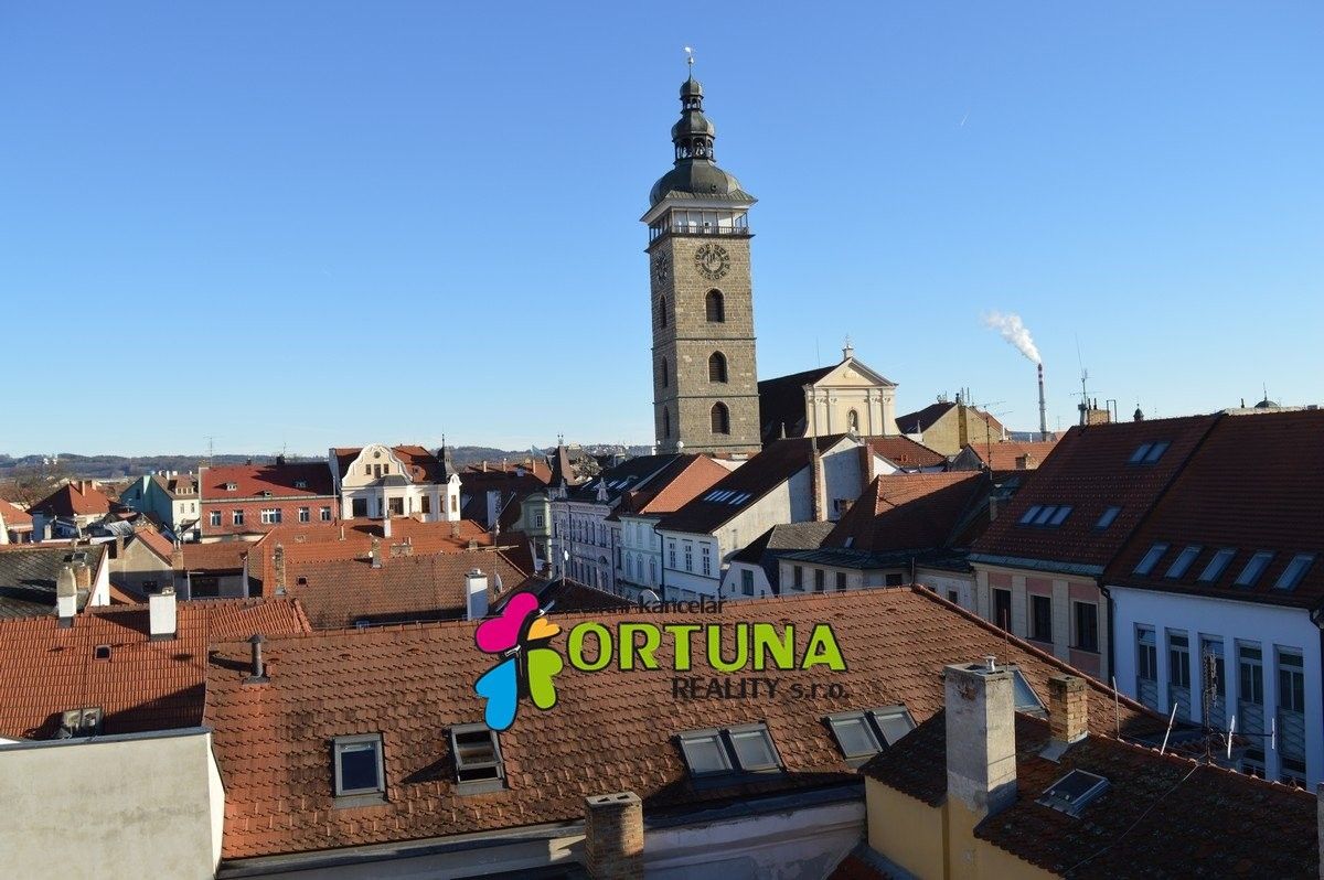 Prodej domu 1563 m² - foto 13