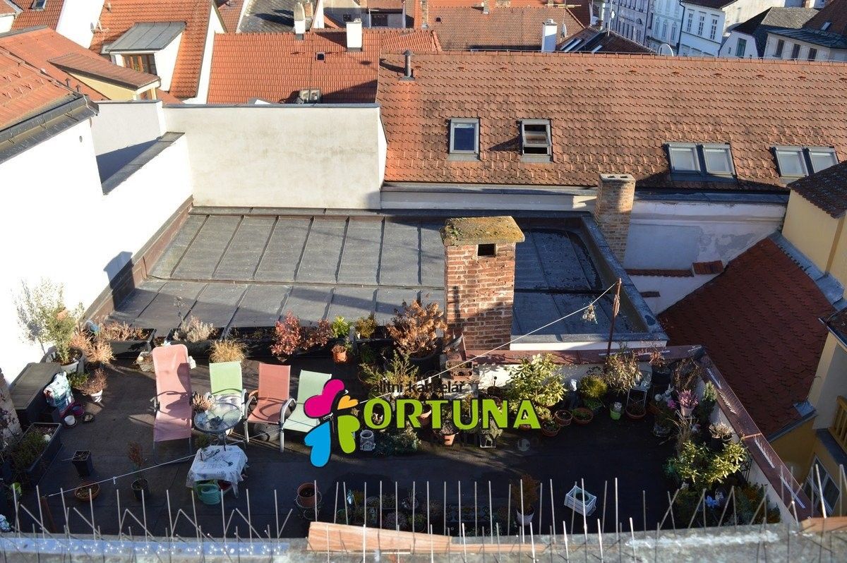 Prodej domu 1563 m² - foto 14