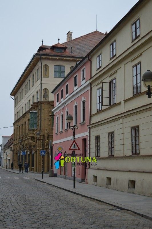 Prodej komerčního prostoru 1563 m² - foto 3