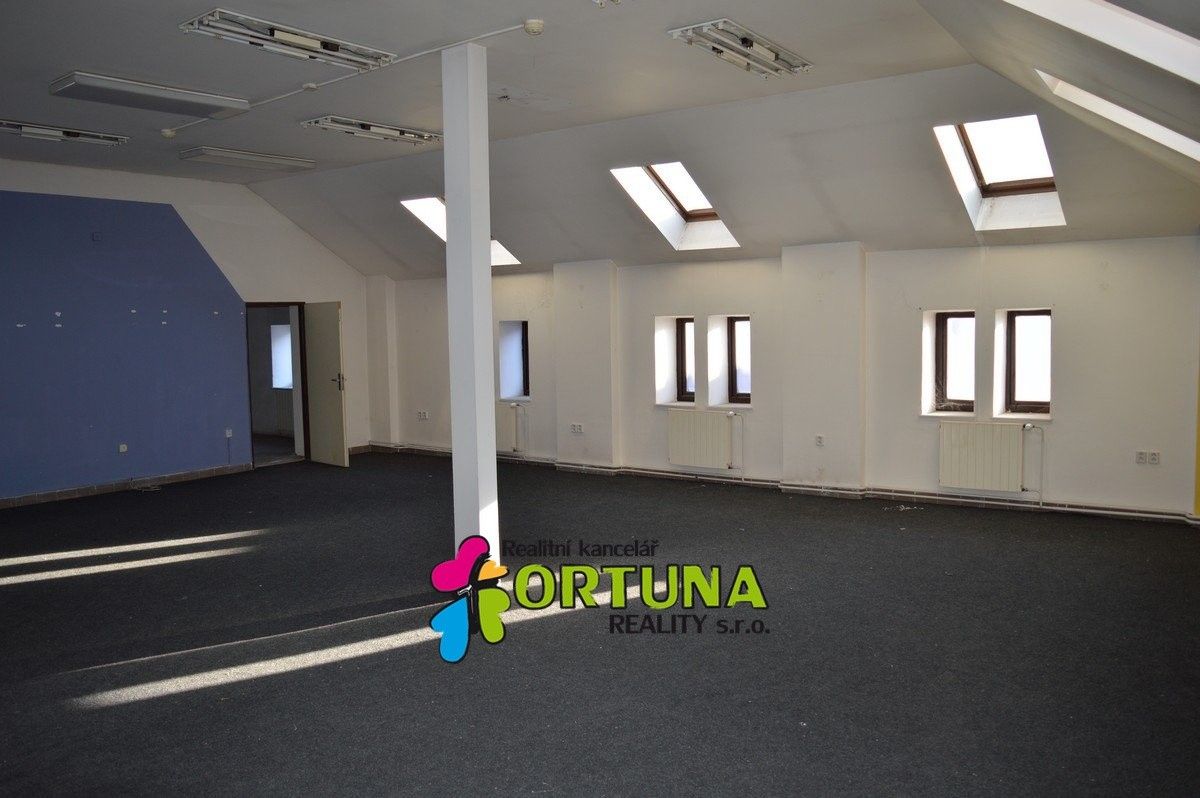 Prodej komerčního prostoru 1563 m² - foto 6