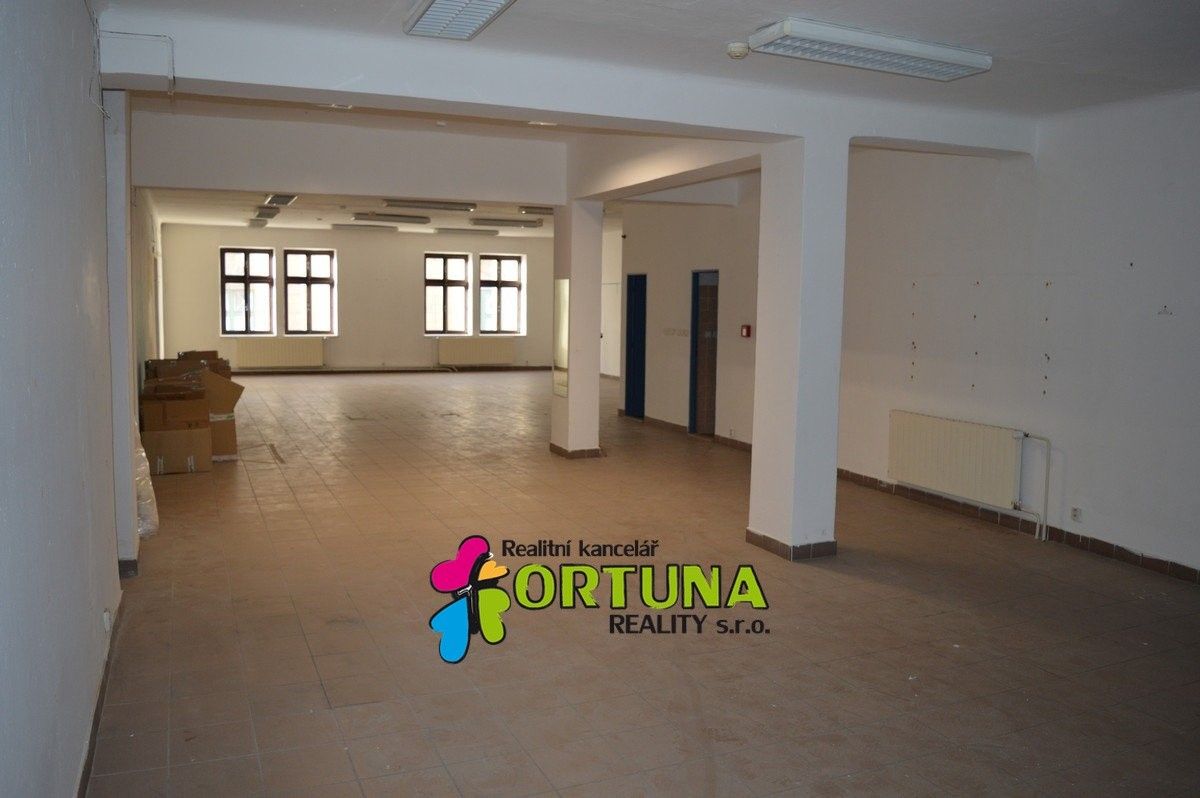 Prodej komerčního prostoru 1563 m² - foto 8
