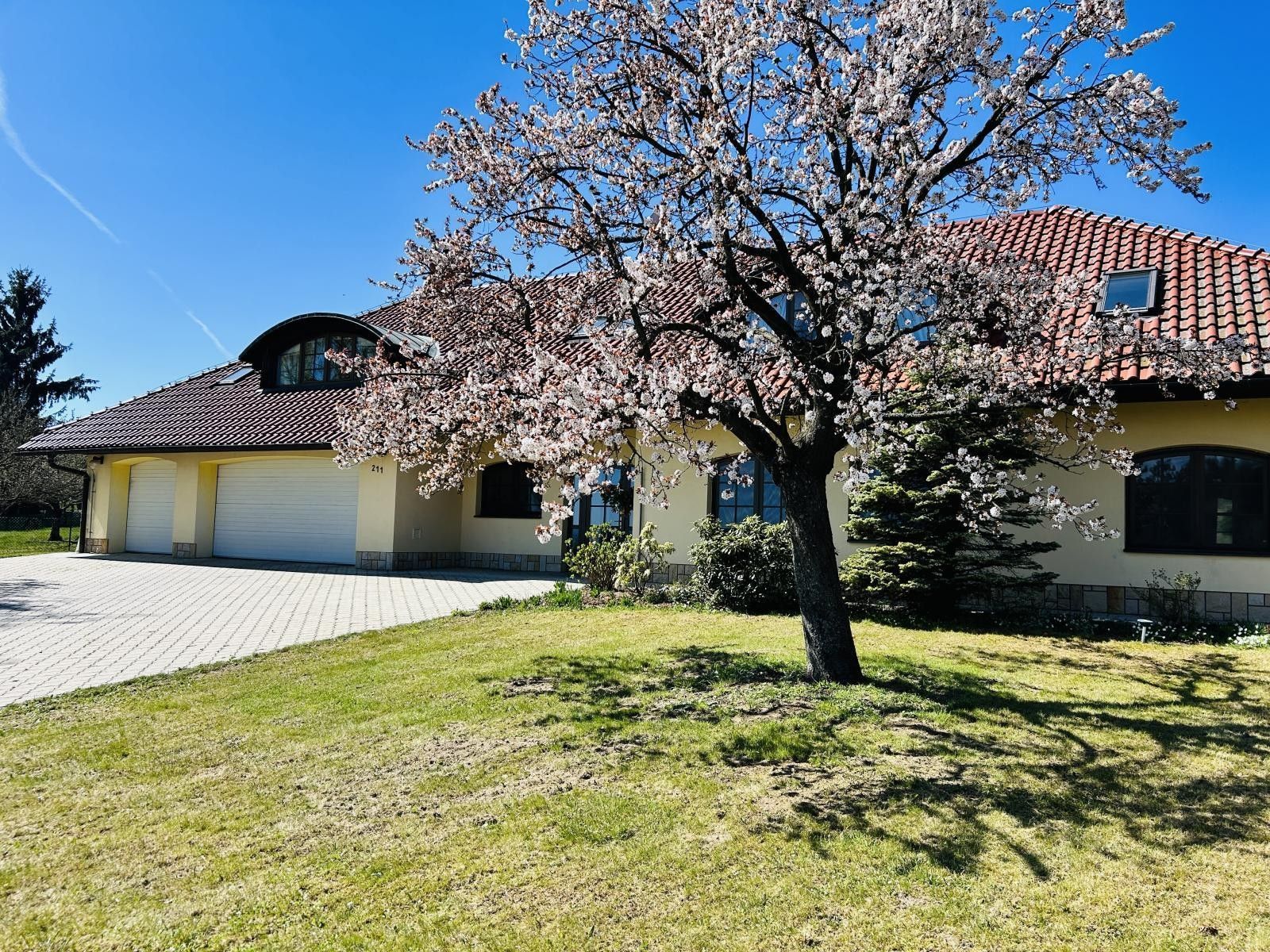 Prodej nemovitosti 392 m² - foto 3