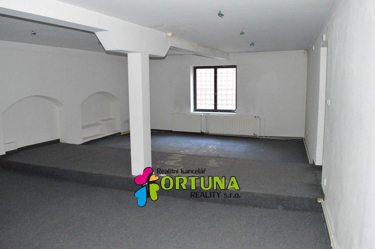 Prodej komerčního prostoru 1563 m² - foto 10