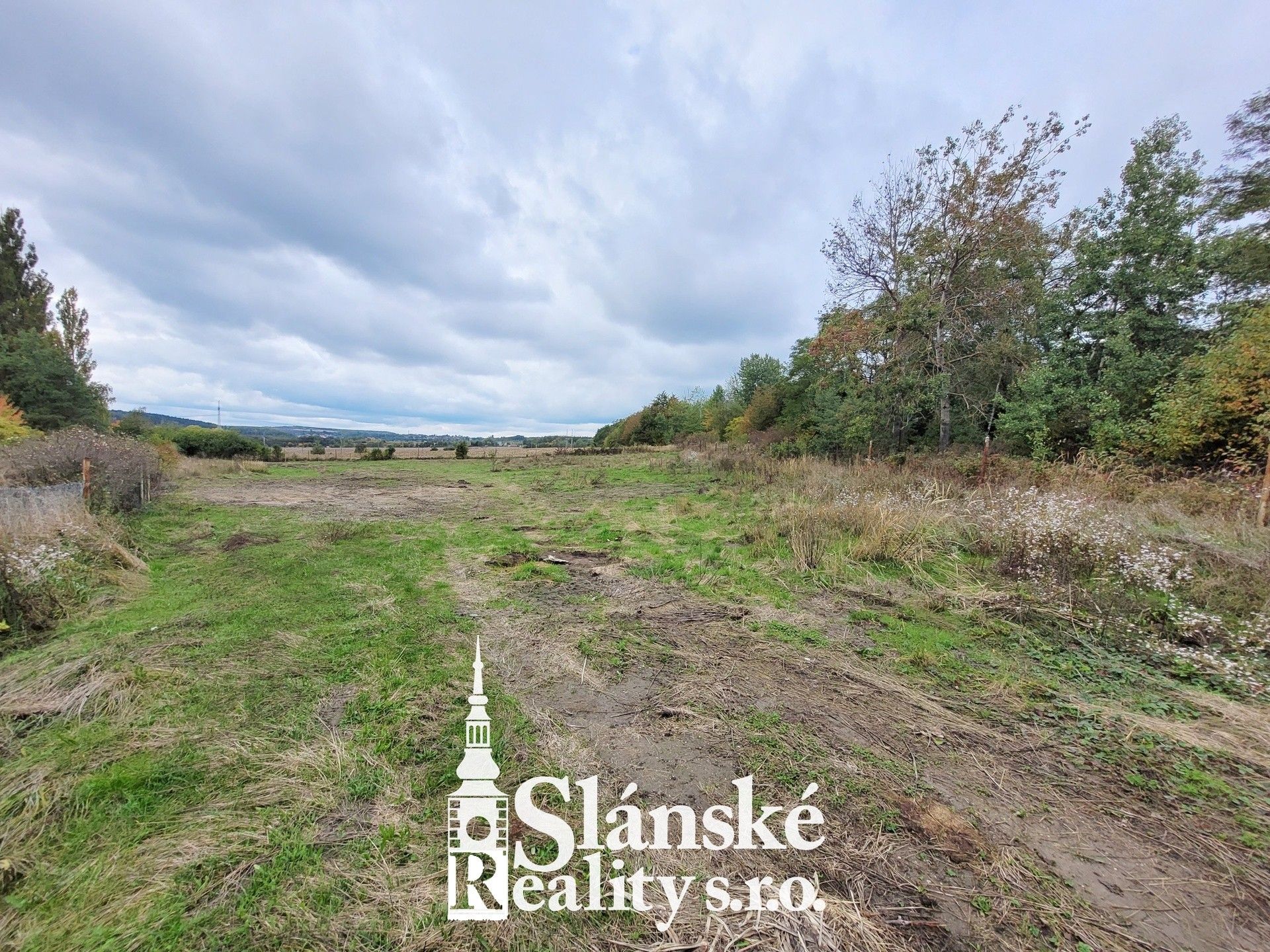 Prodej pozemku 3600 m² - foto 7