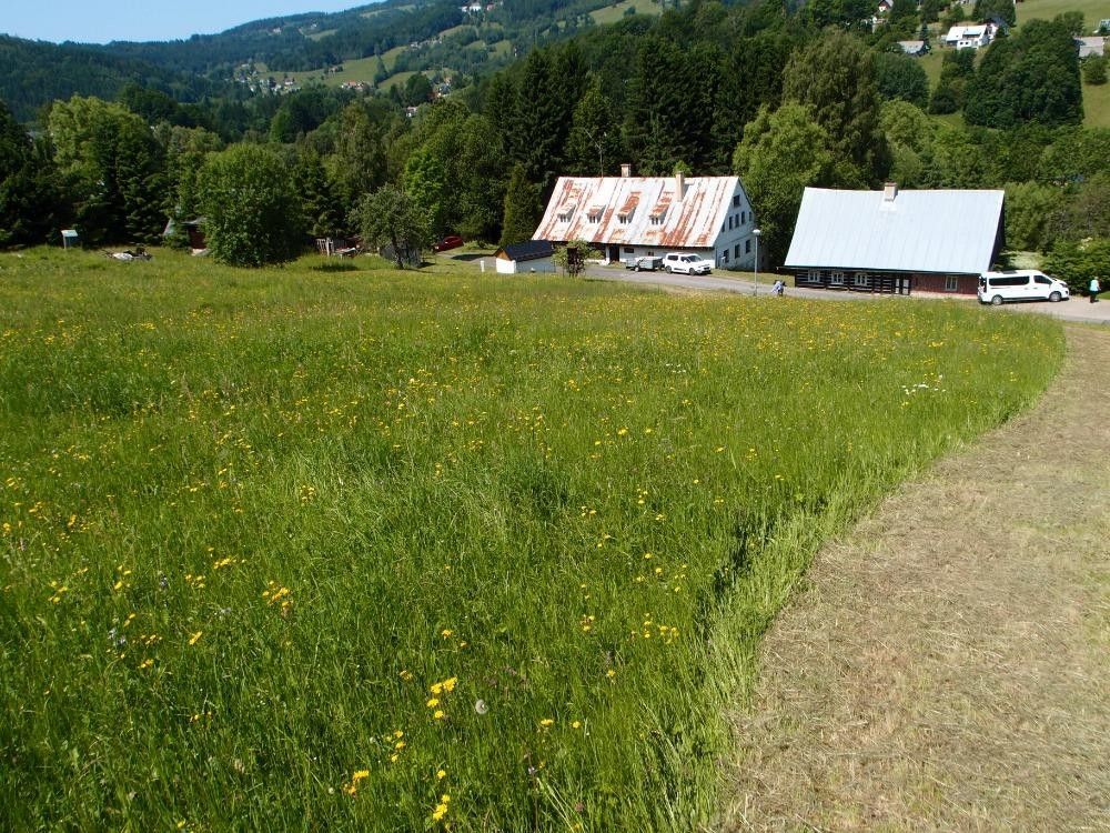 Prodej domu 633 m² - foto 27