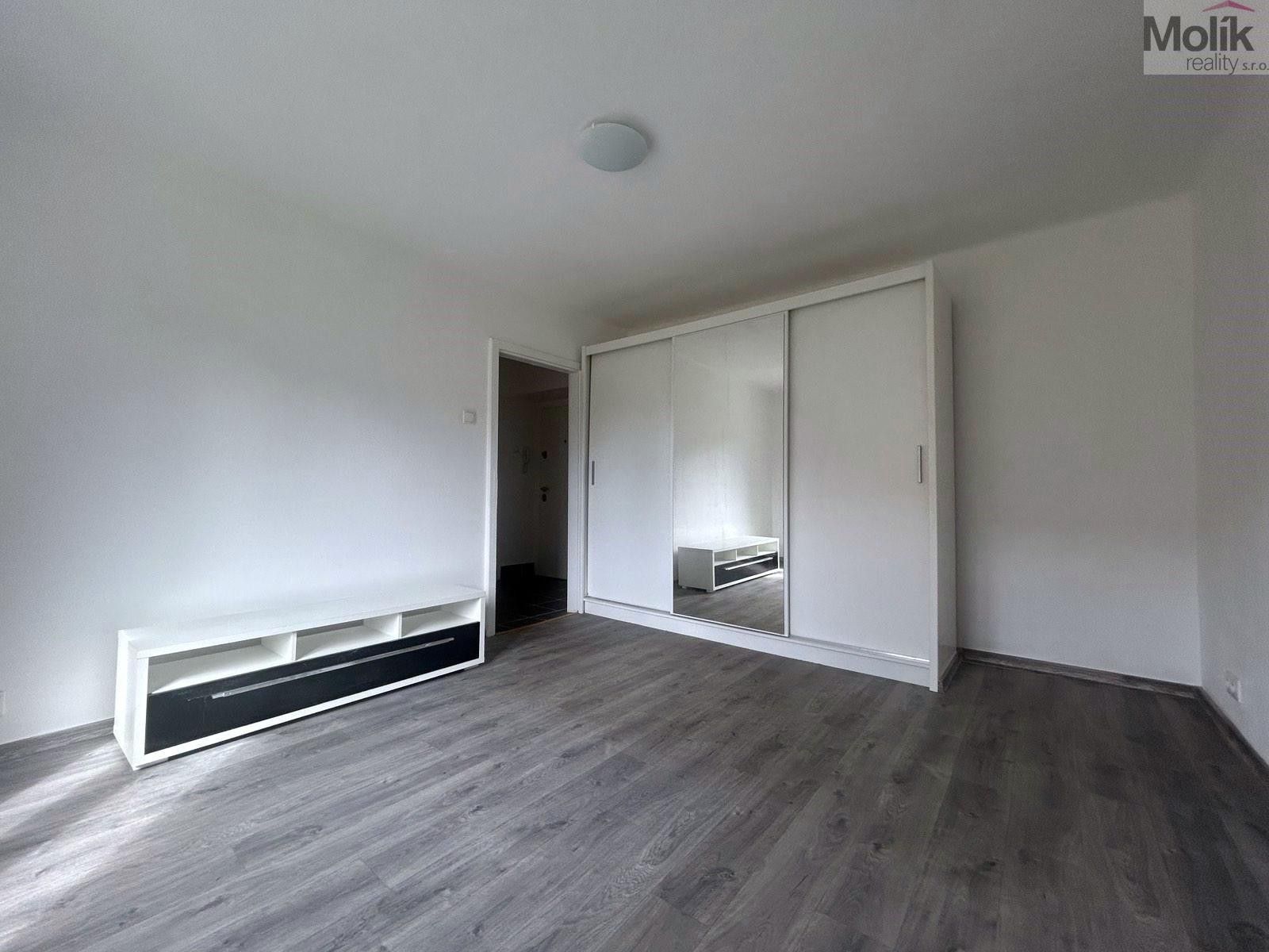 Pronájem bytu 1+1 30 m² - foto 4