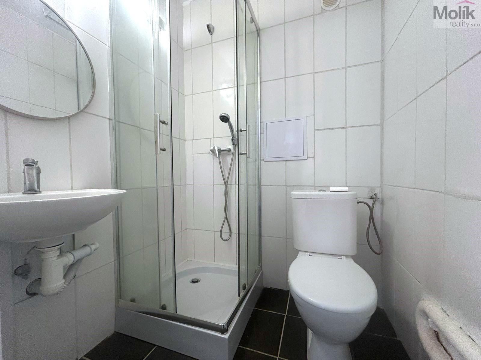 Pronájem bytu 1+1 30 m² - foto 7