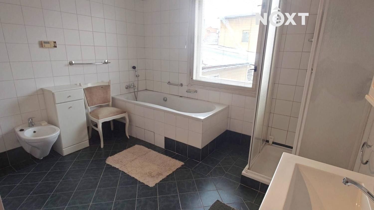 Prodej nemovitosti 470 m² - foto 13