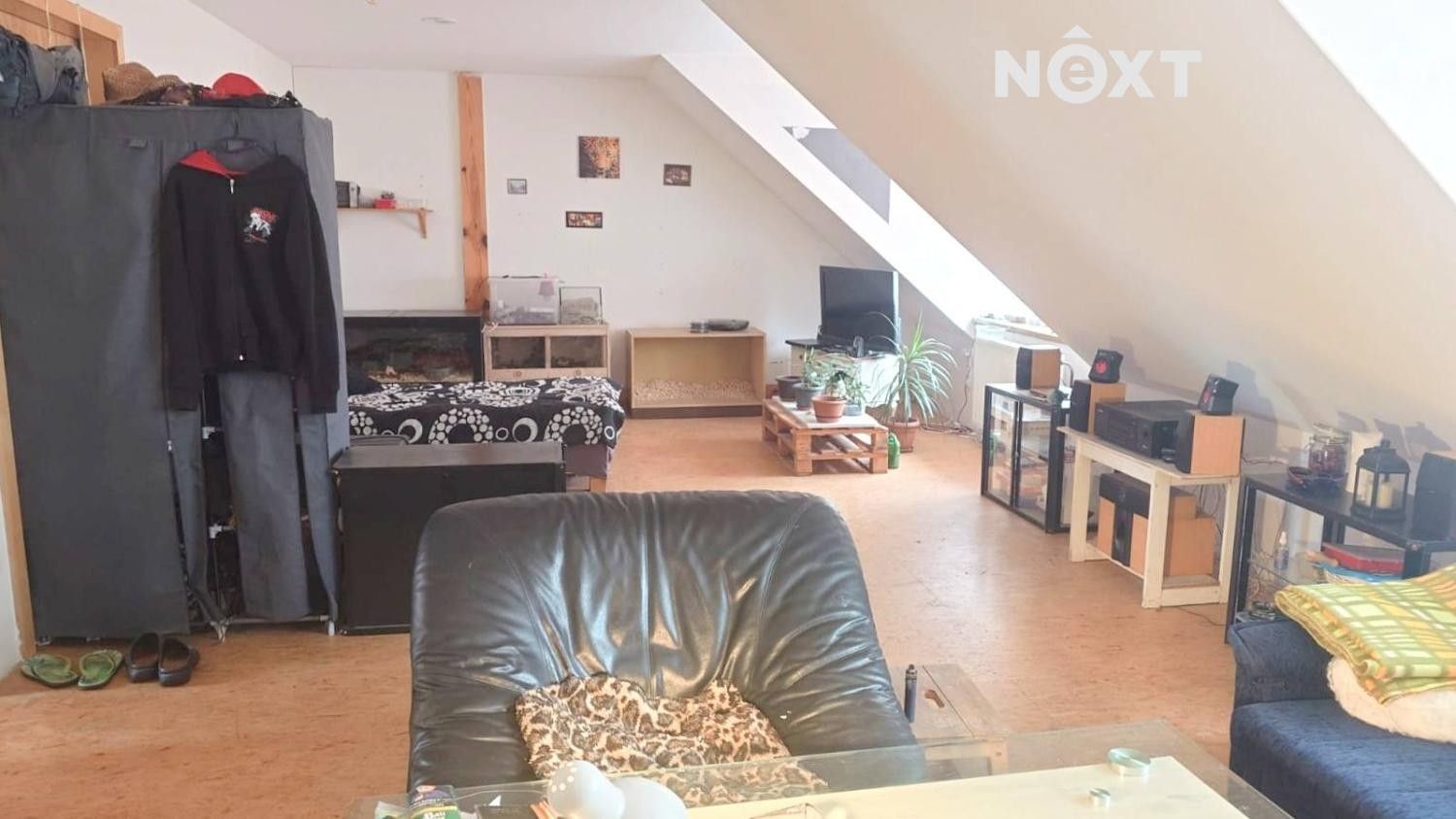 Prodej nemovitosti 470 m² - foto 18