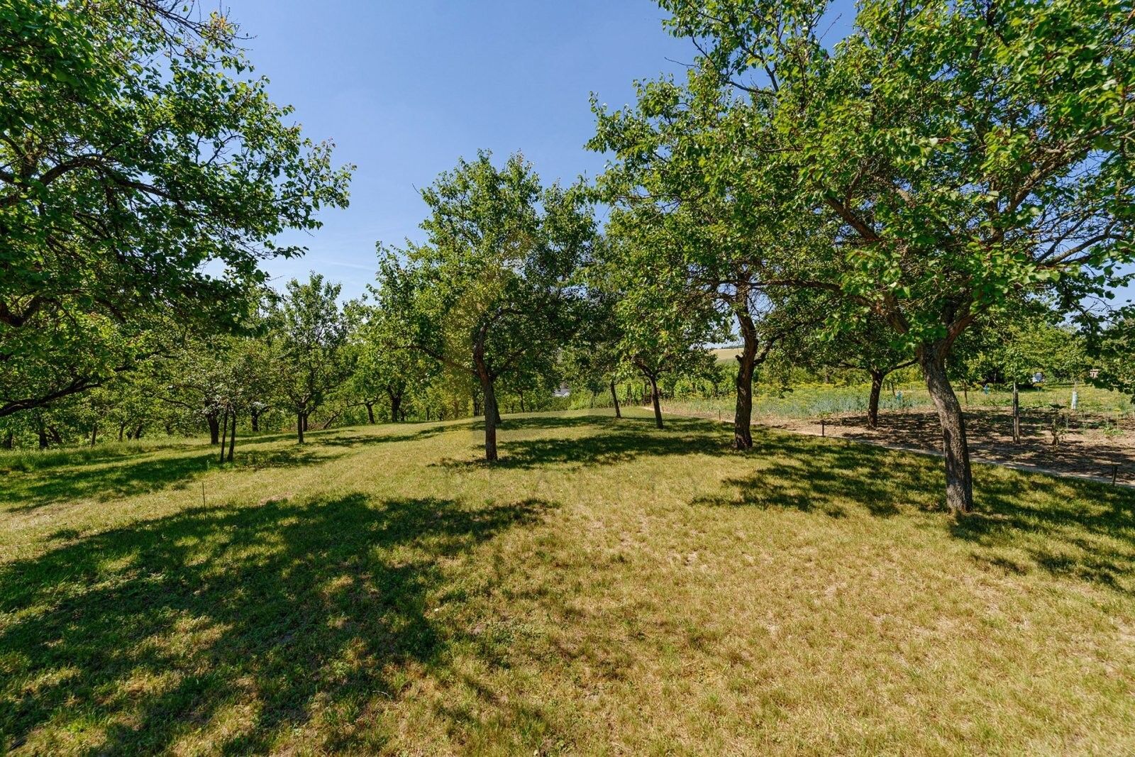 Prodej domu 164 m² - foto 26