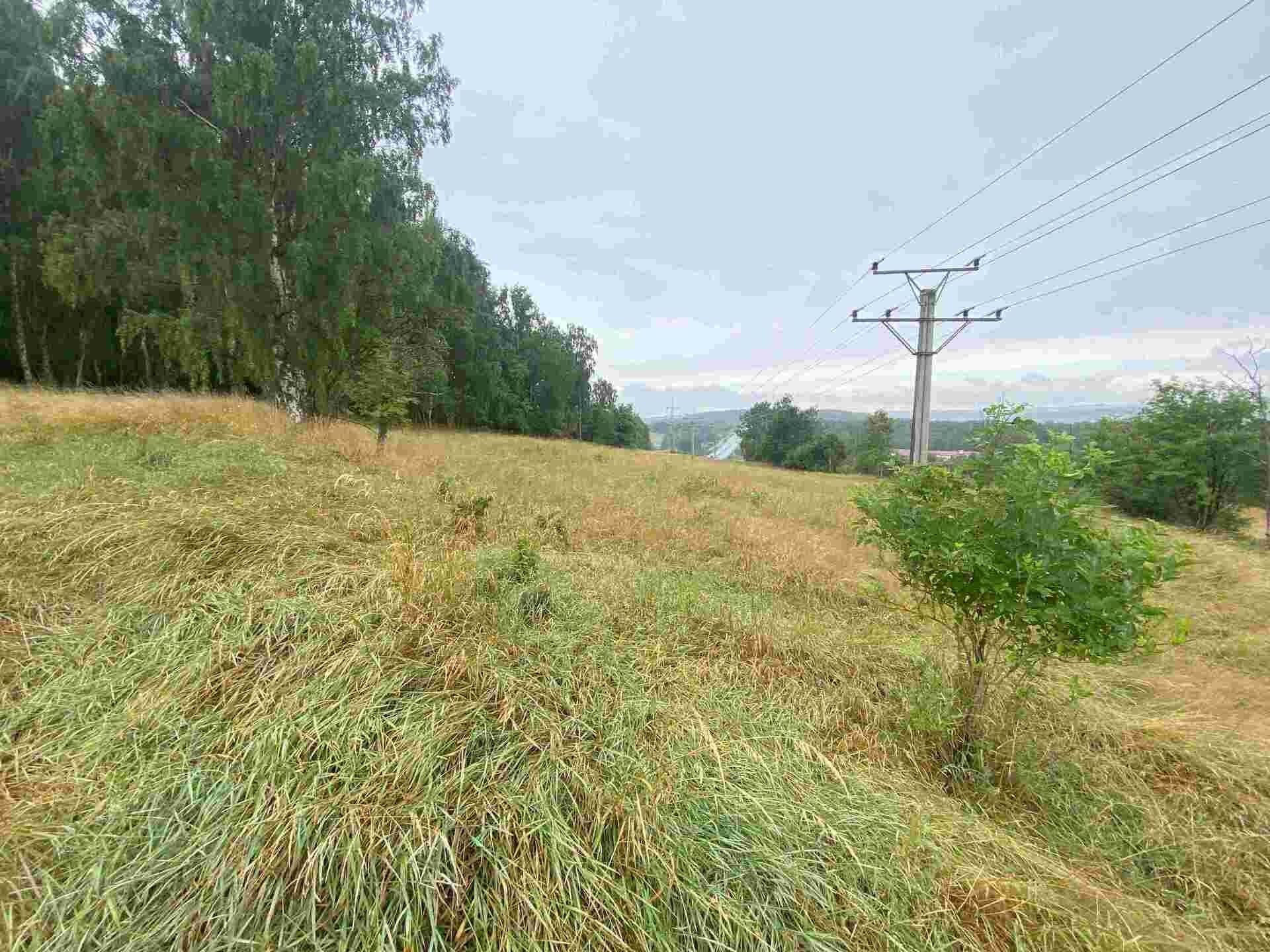 Prodej pozemku 49321 m² - foto 5