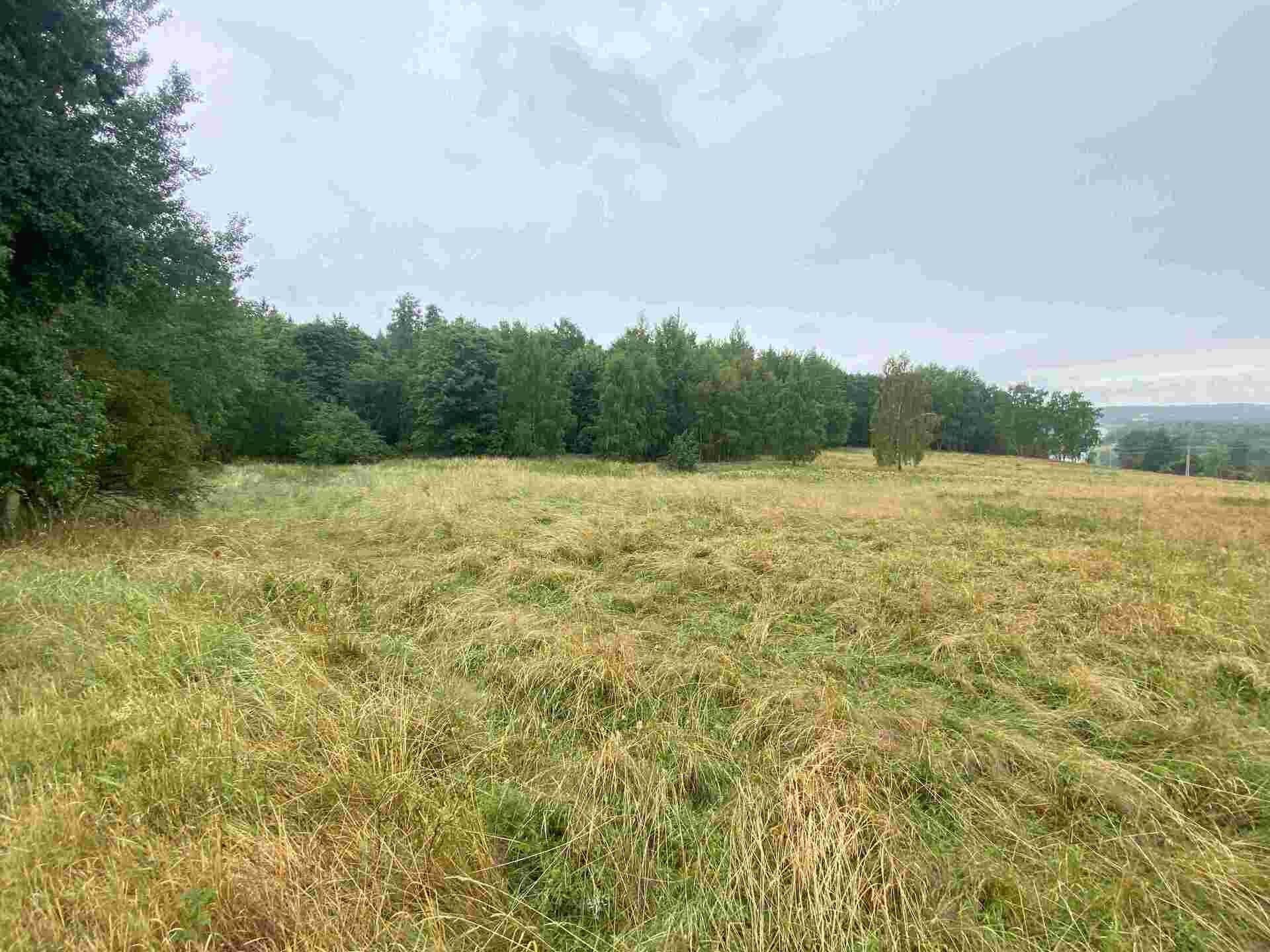 Prodej pozemku 49321 m² - foto 3