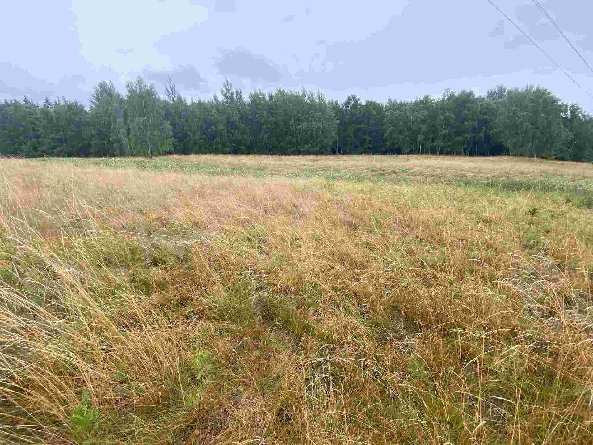 Prodej pozemku 49321 m² - foto 4