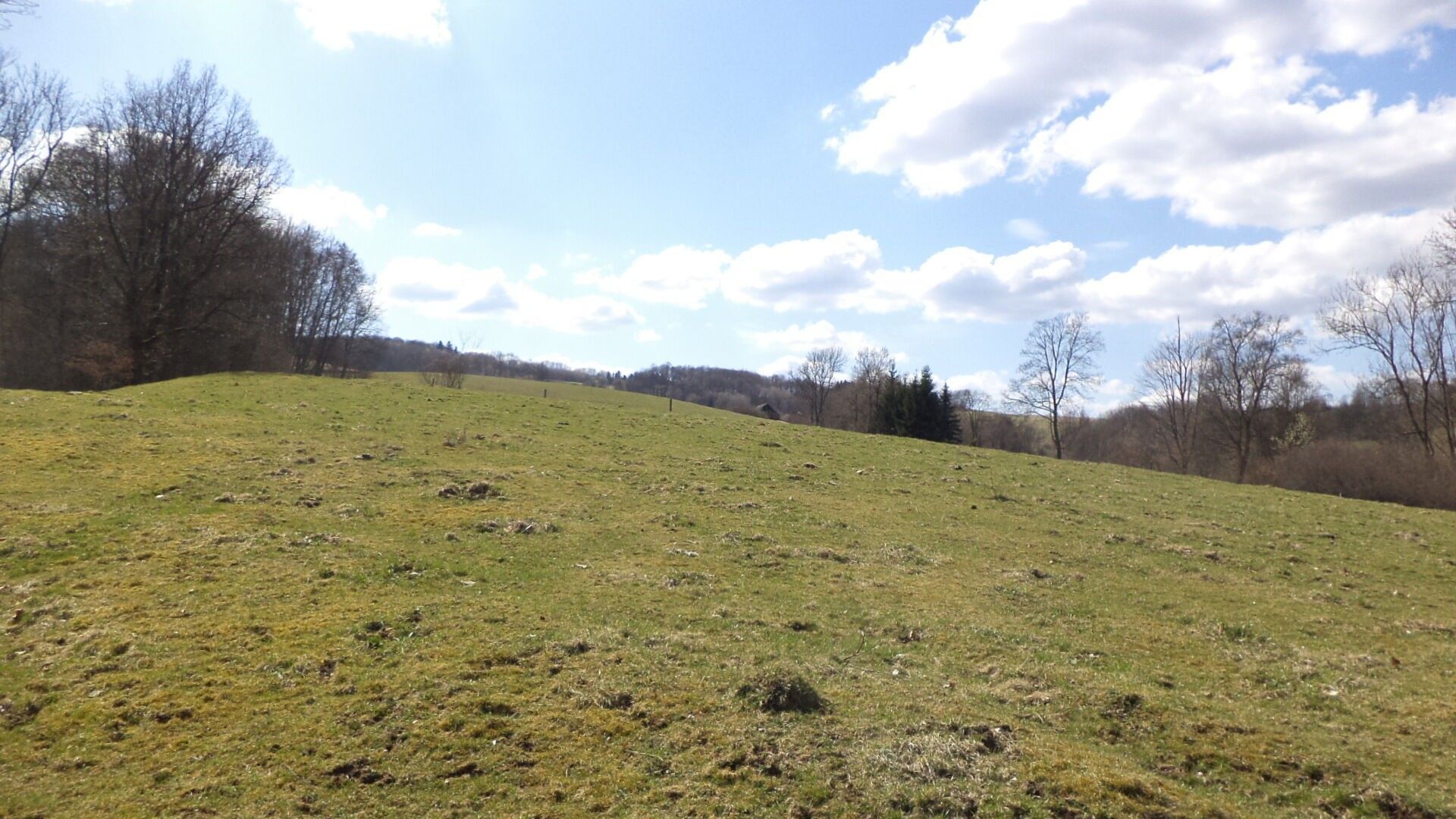 Prodej pozemku 4633 m² - foto 2