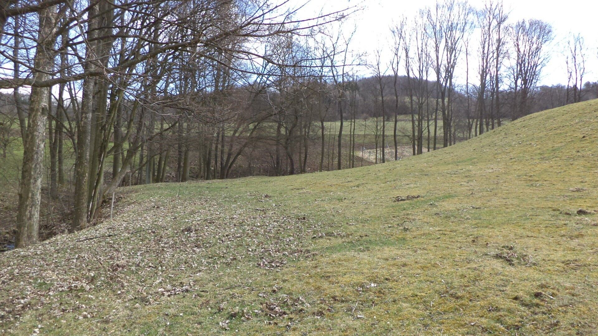 Prodej pozemku 4633 m² - foto 1