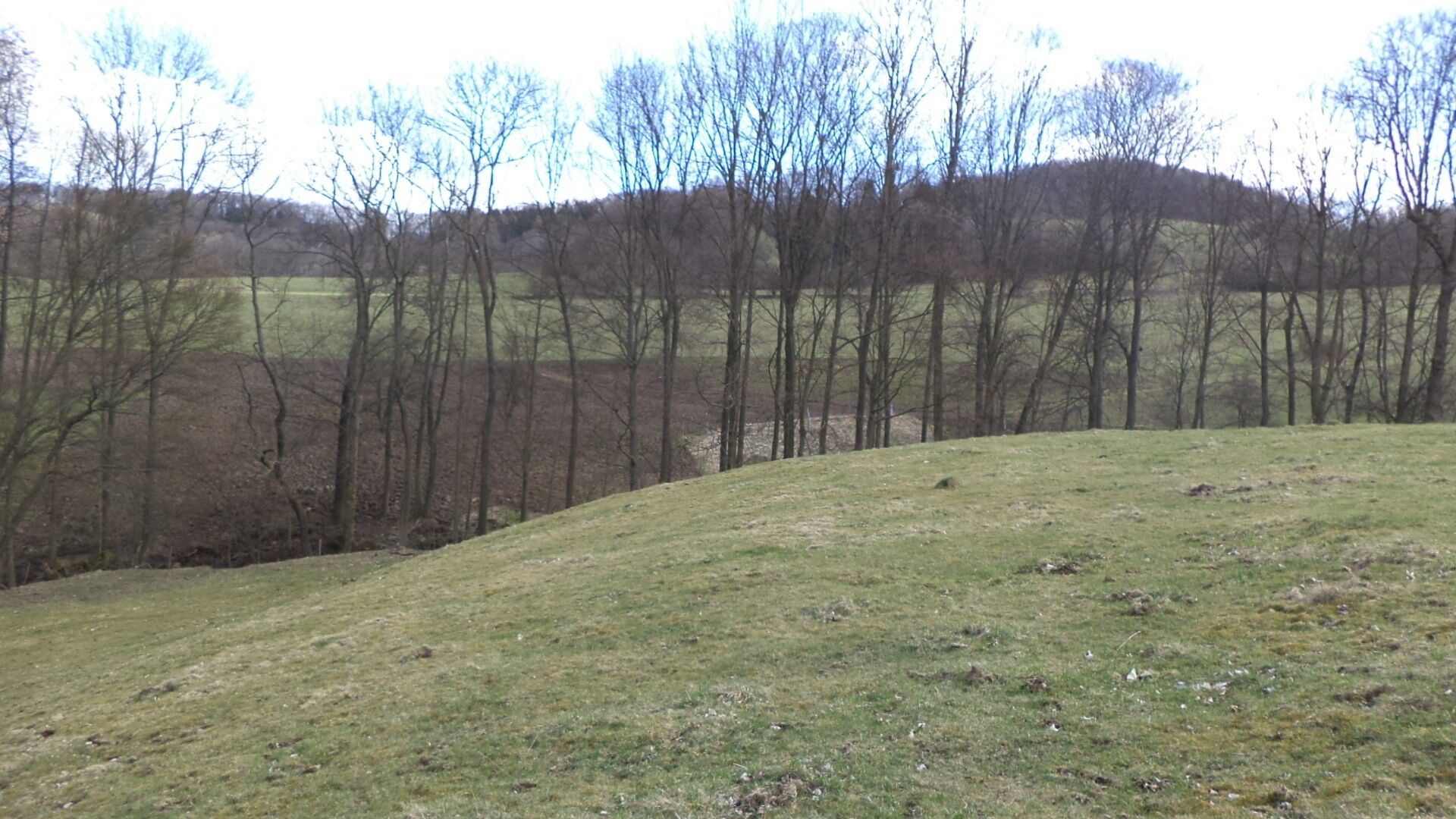 Prodej pozemku 4633 m² - foto 4