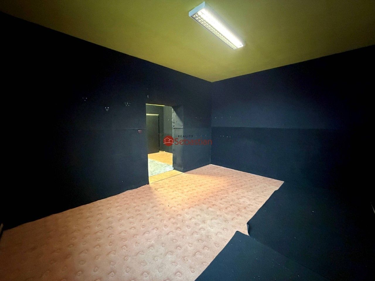 Pronájem nemovitosti 45 m² - foto 4