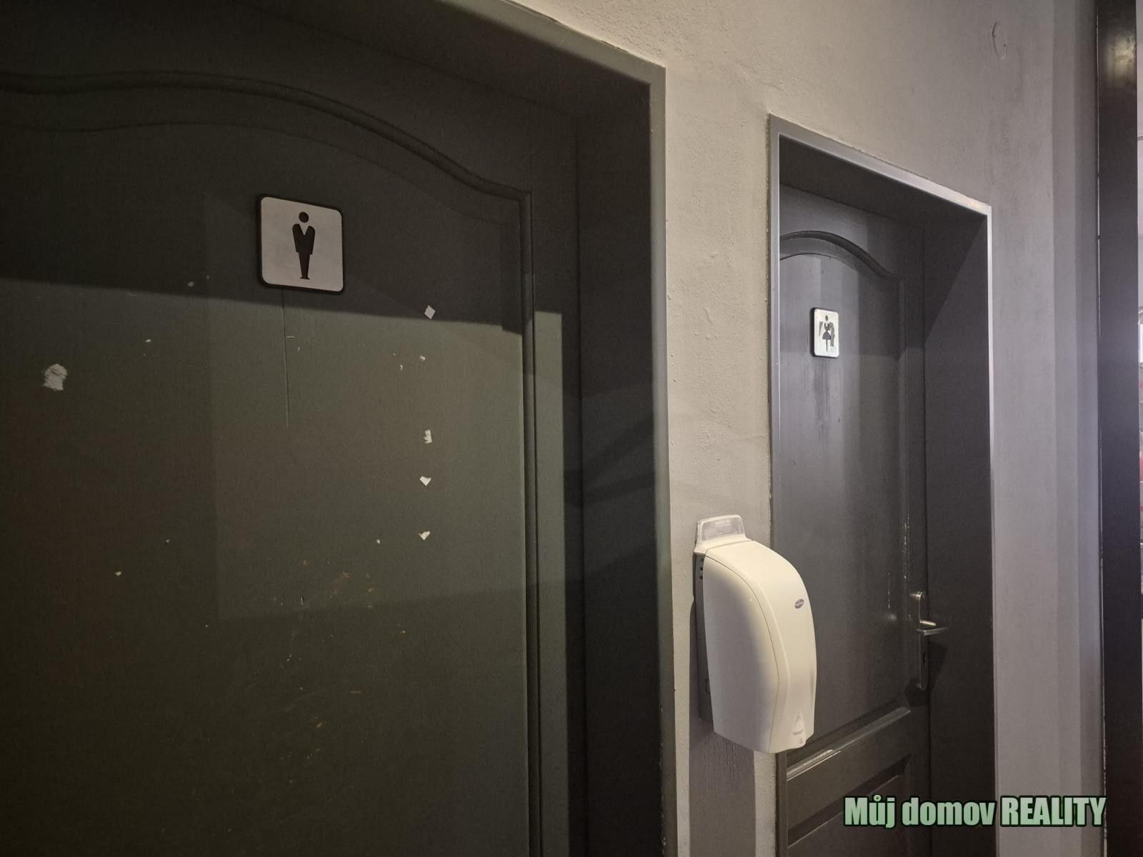 Pronájem komerčního prostoru 124 m² - foto 11