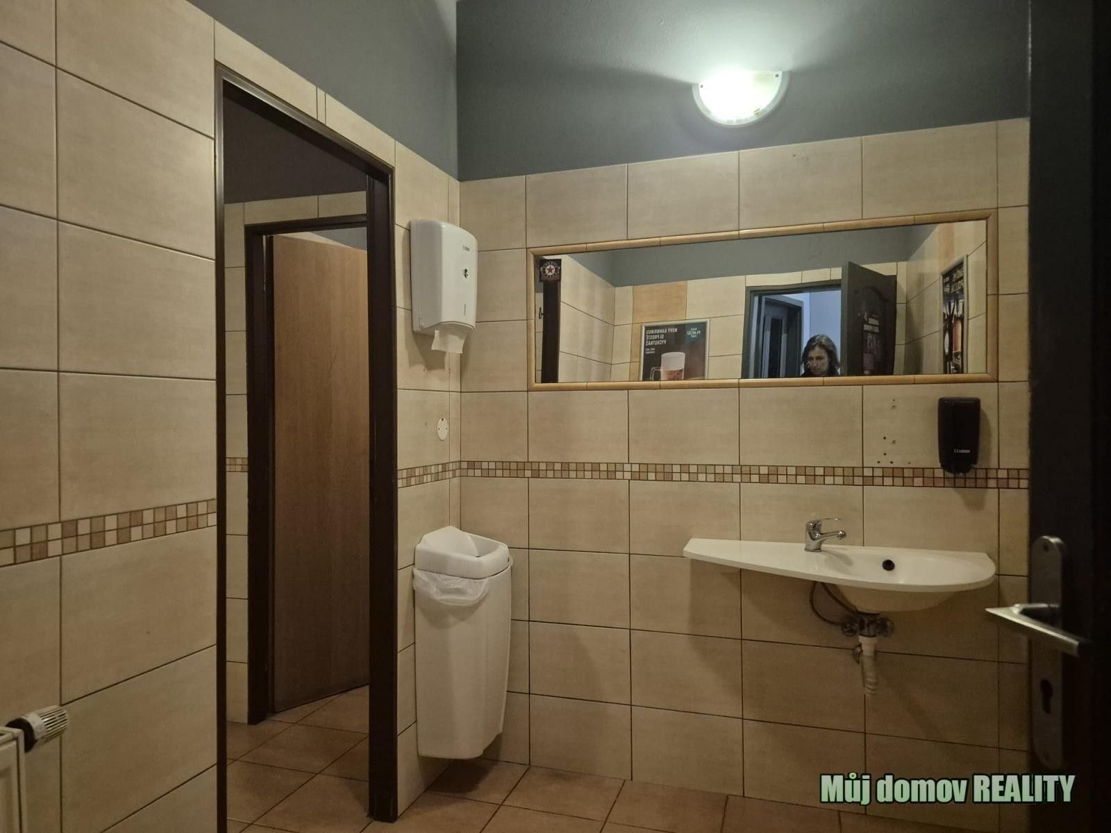 Pronájem komerčního prostoru 124 m² - foto 14