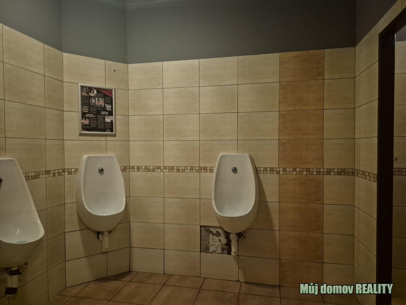 Pronájem komerčního prostoru 124 m² - foto 15