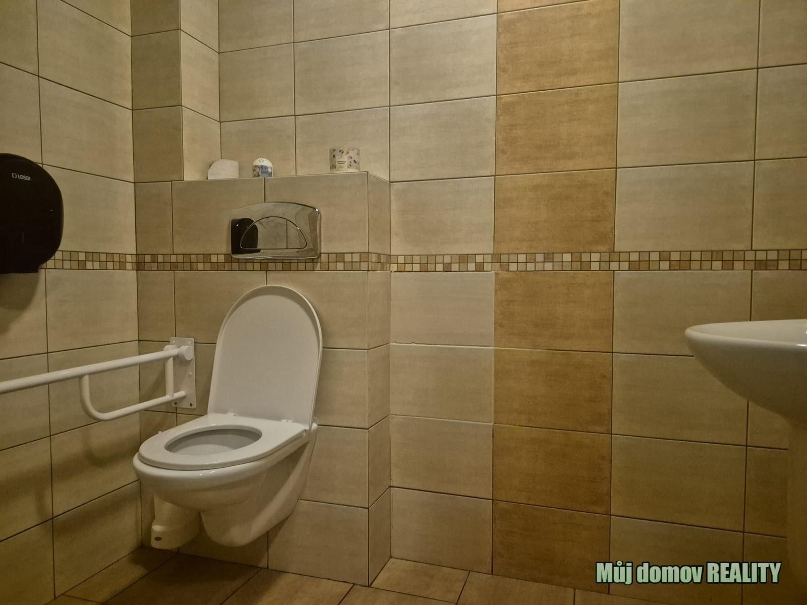 Pronájem komerčního prostoru 124 m² - foto 16