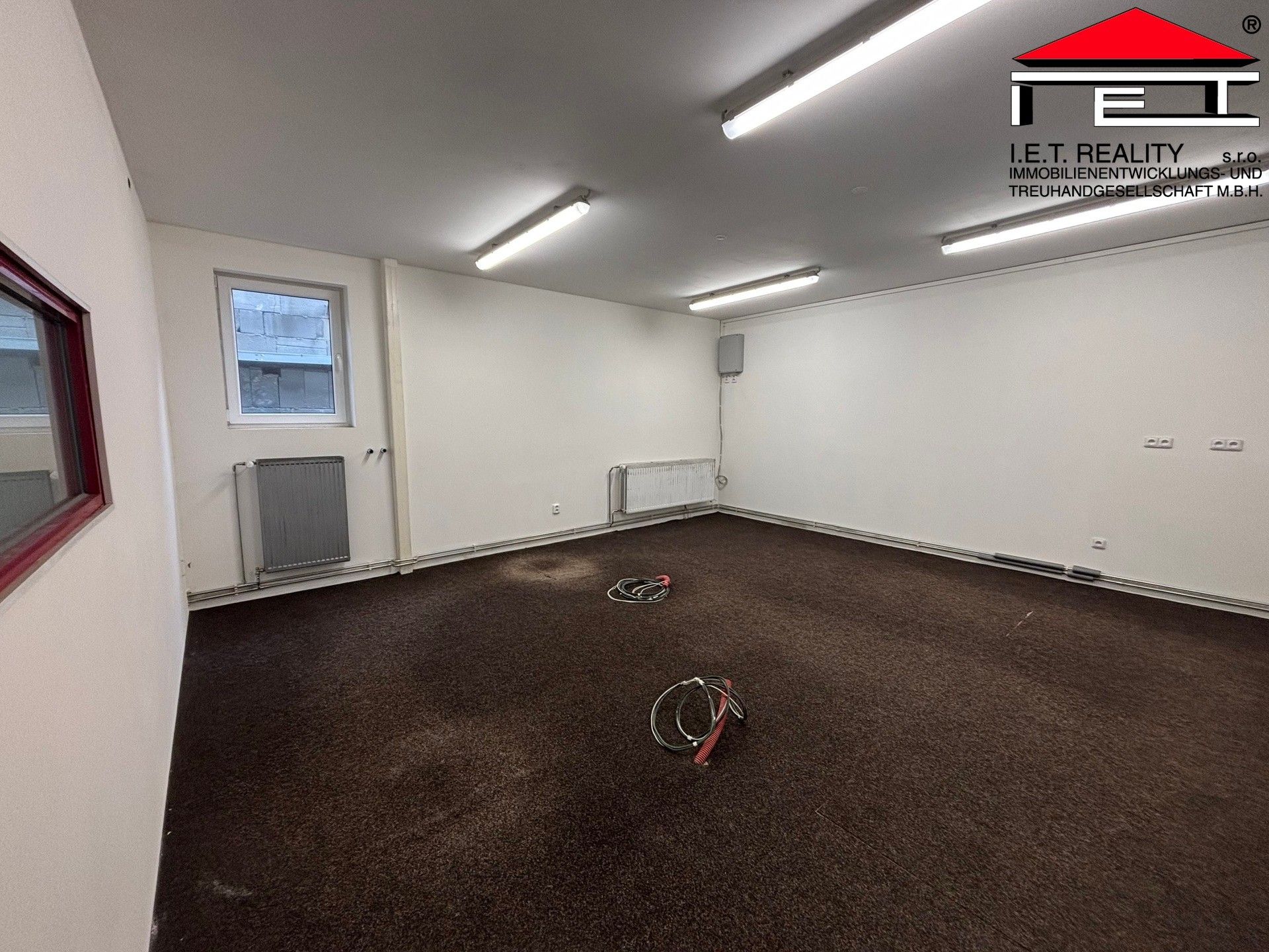 Pronájem komerčního prostoru 260 m² - foto 4
