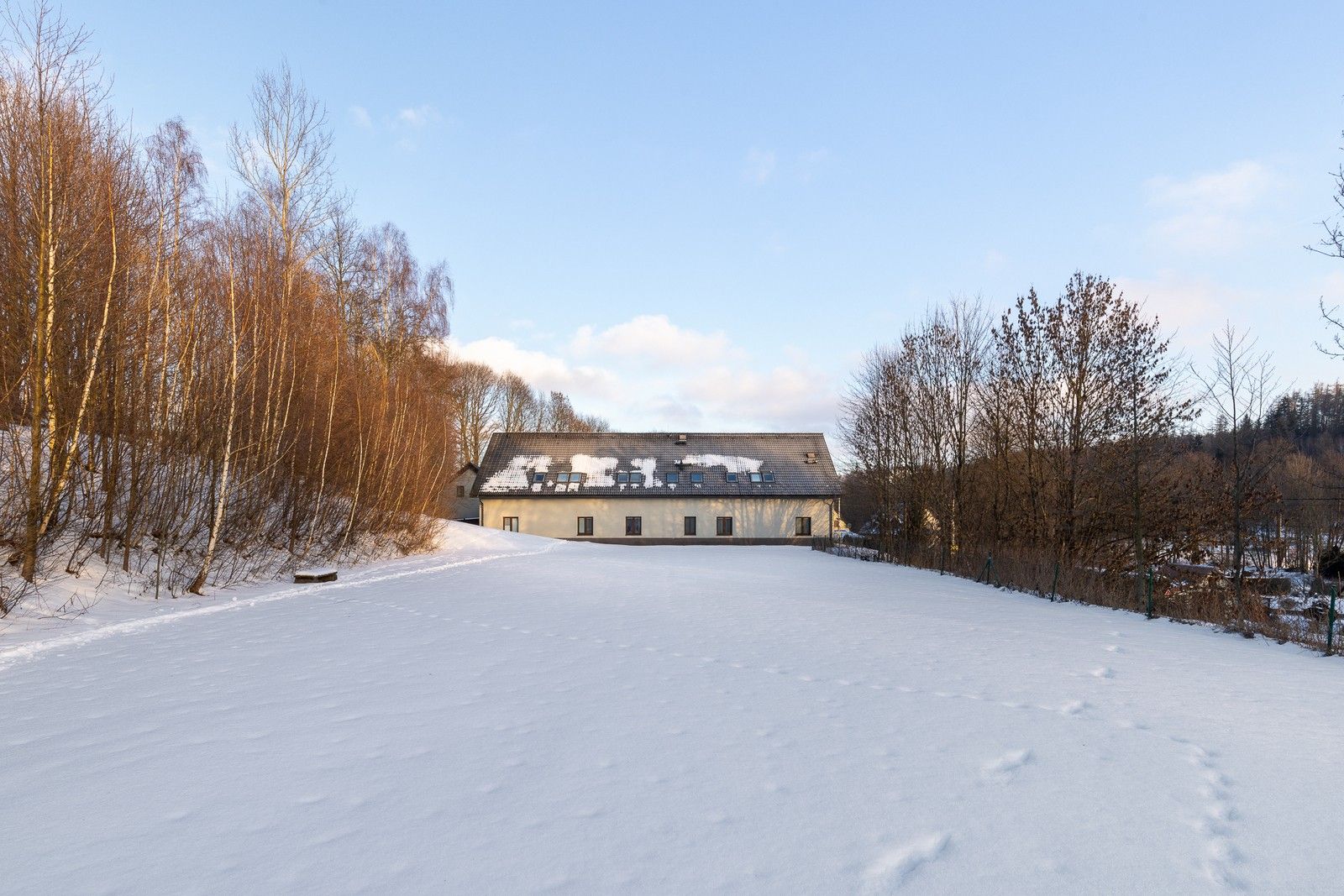 Prodej komerčního prostoru 1265 m² - foto 5